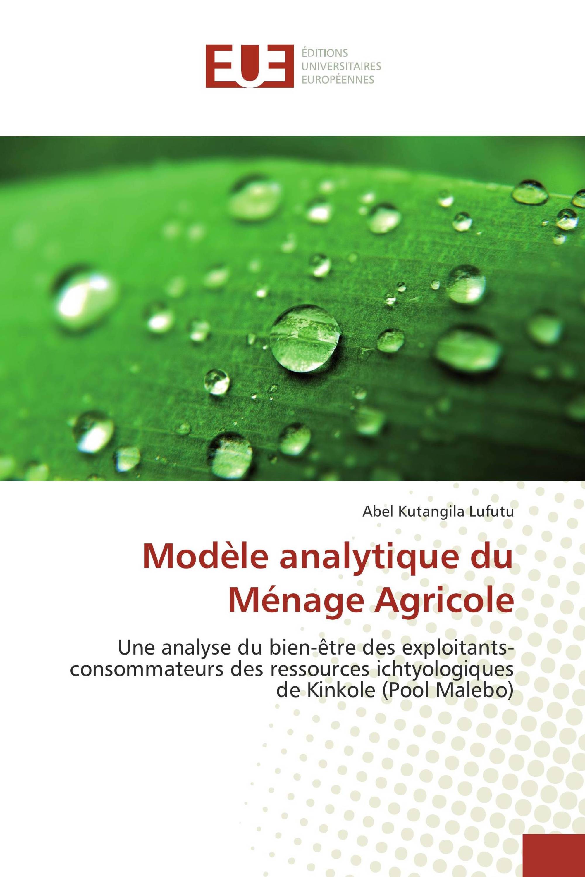 Modèle analytique du Ménage Agricole