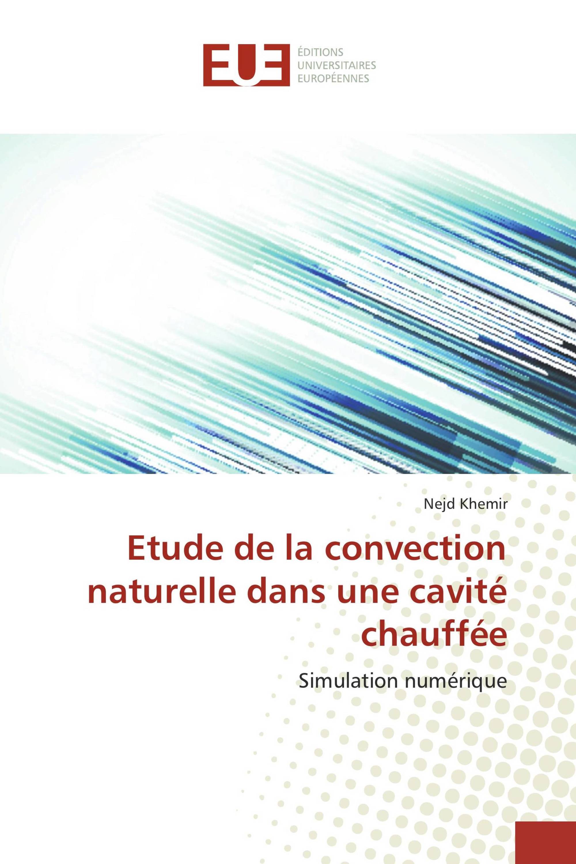 Etude de la convection naturelle dans une cavité chauffée