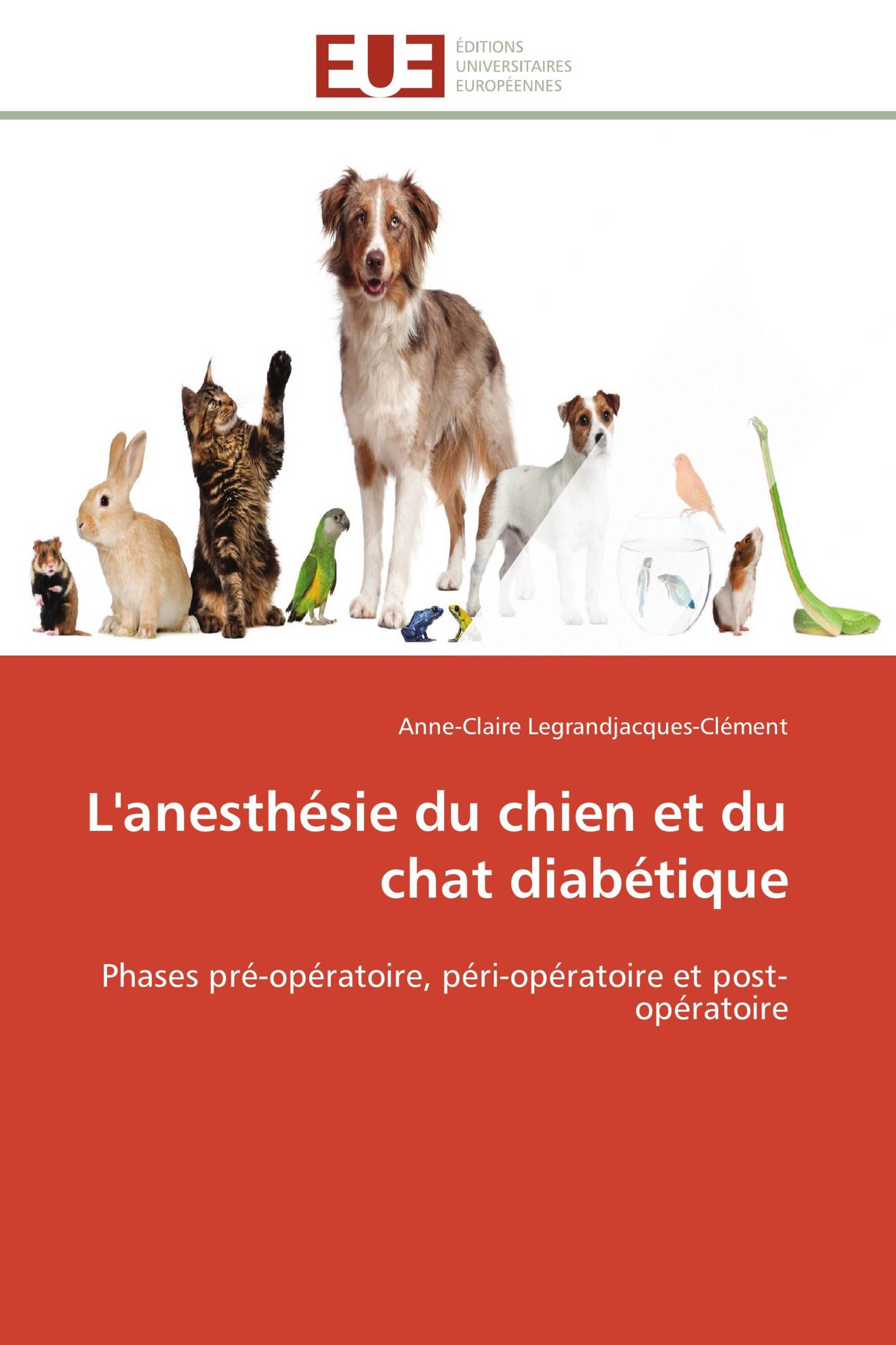 L'anesthésie du chien et du chat diabétique