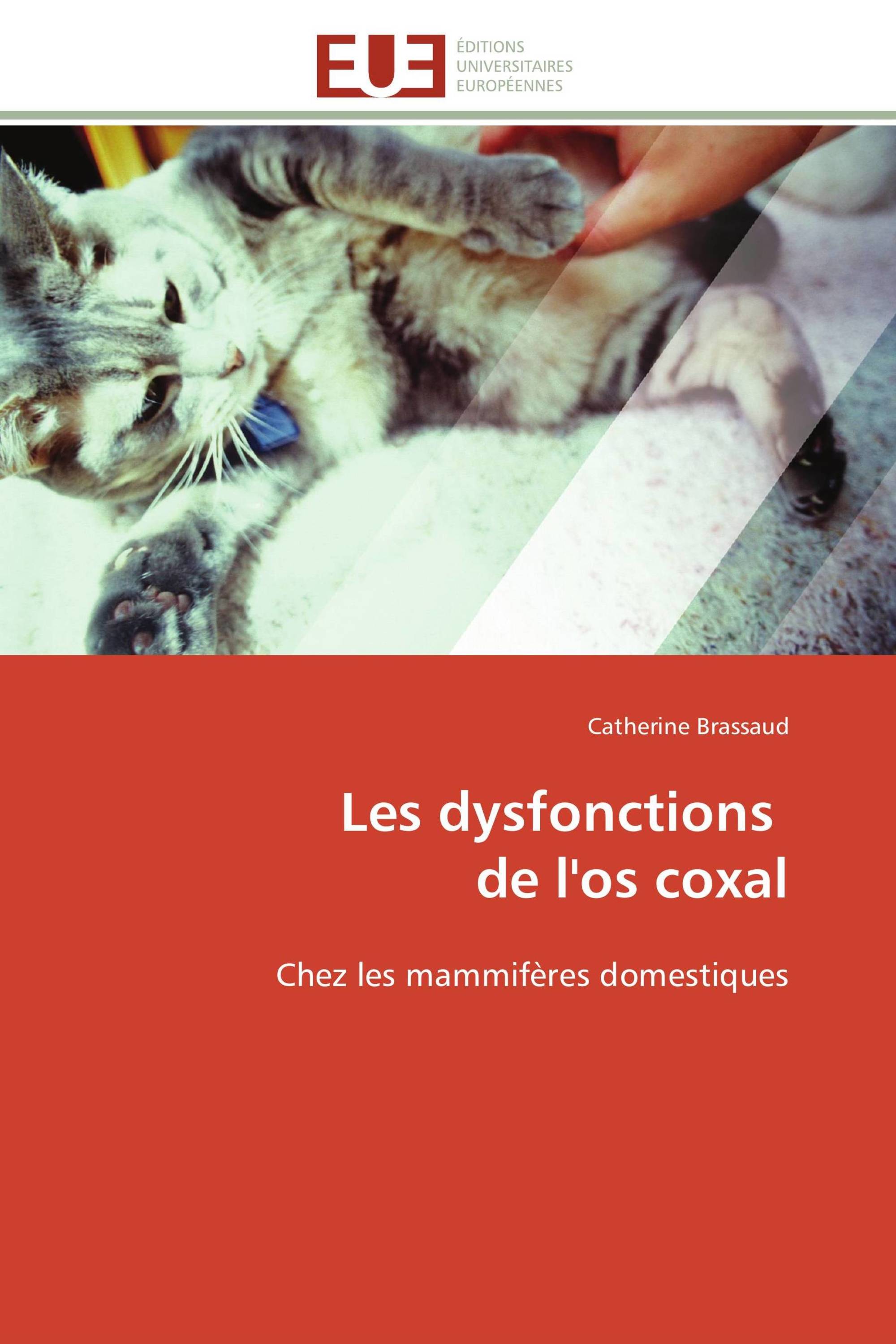 Les dysfonctions de l'os coxal