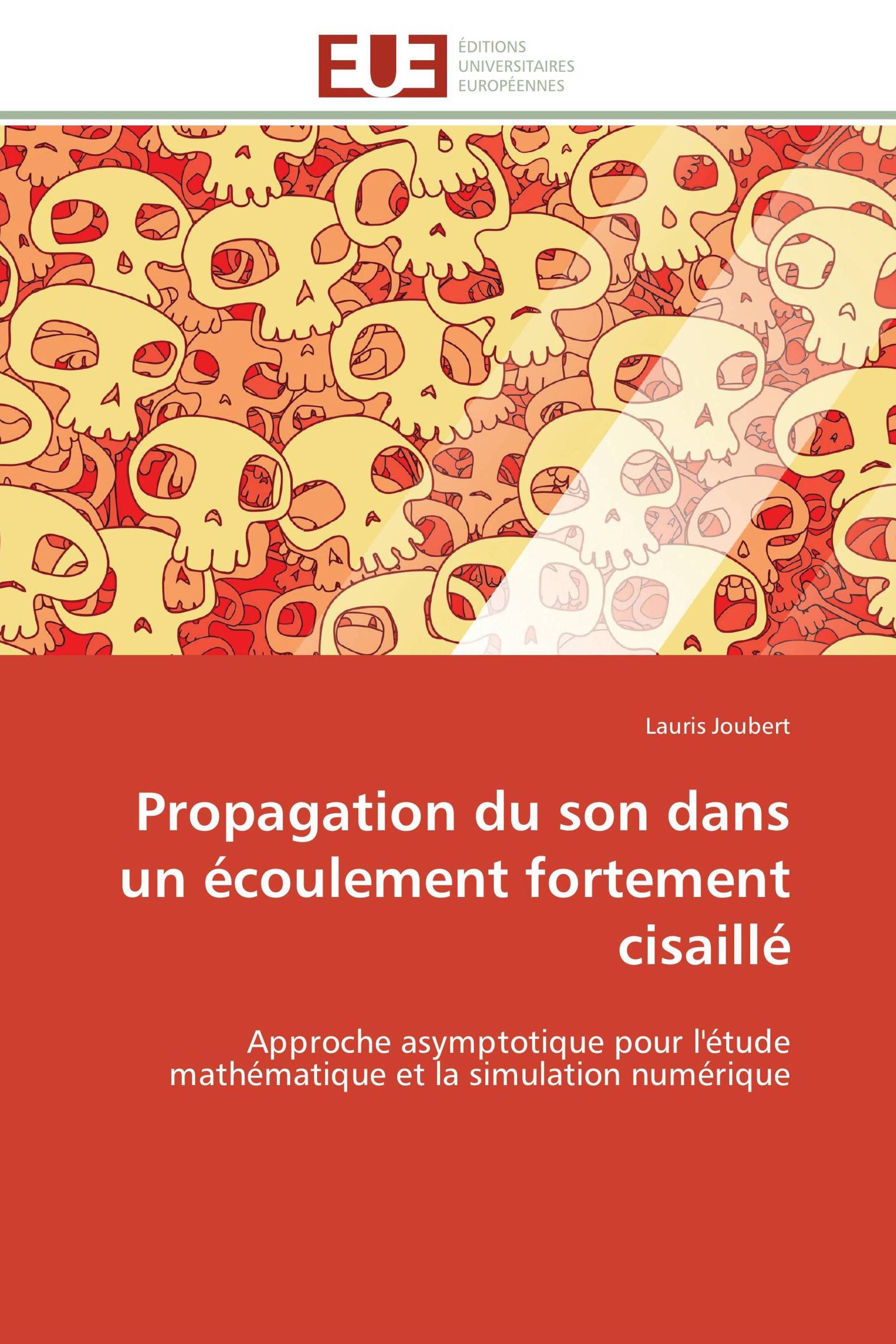 Propagation du son dans un écoulement fortement cisaillé