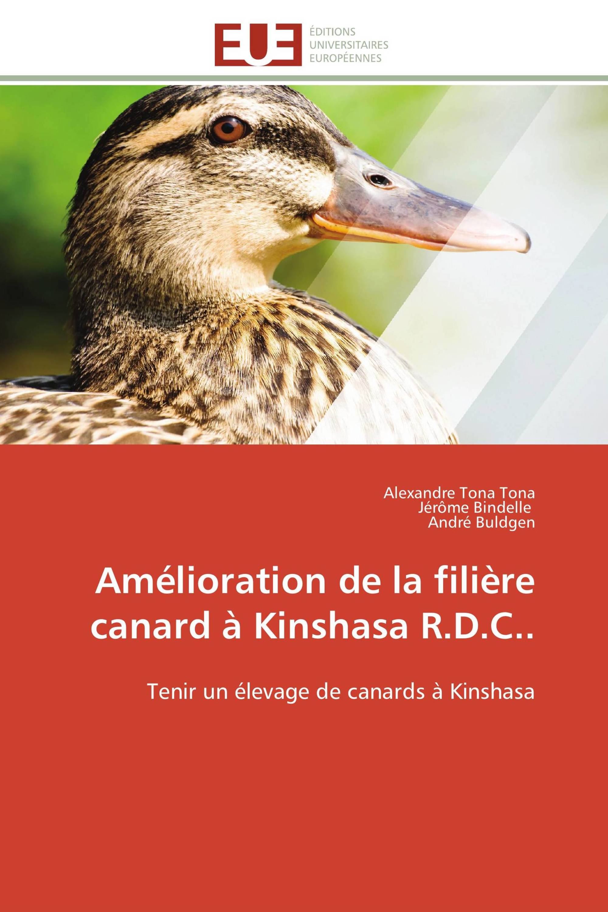 Amélioration de la filière canard à Kinshasa R.D.C..