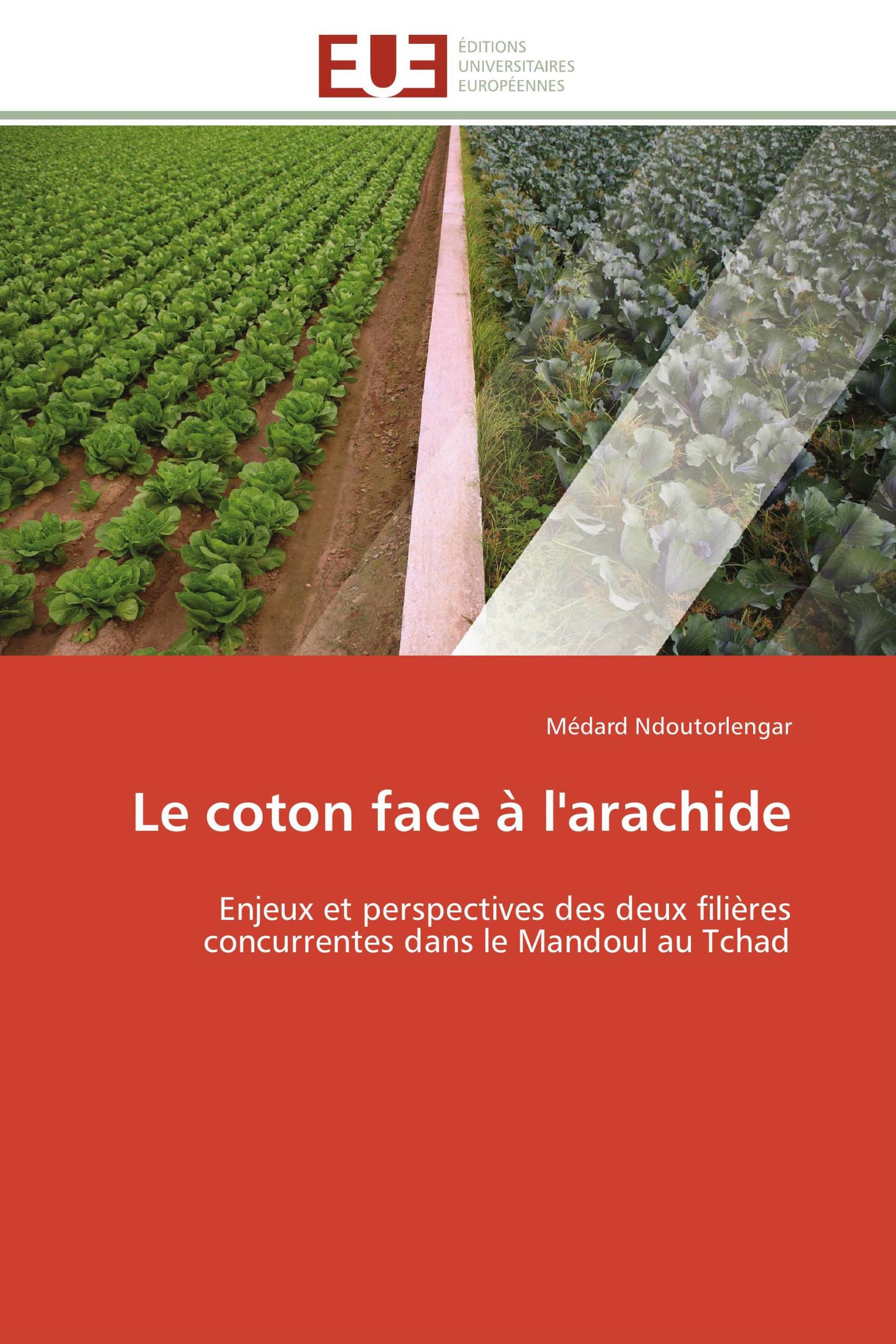 Le coton face à l'arachide