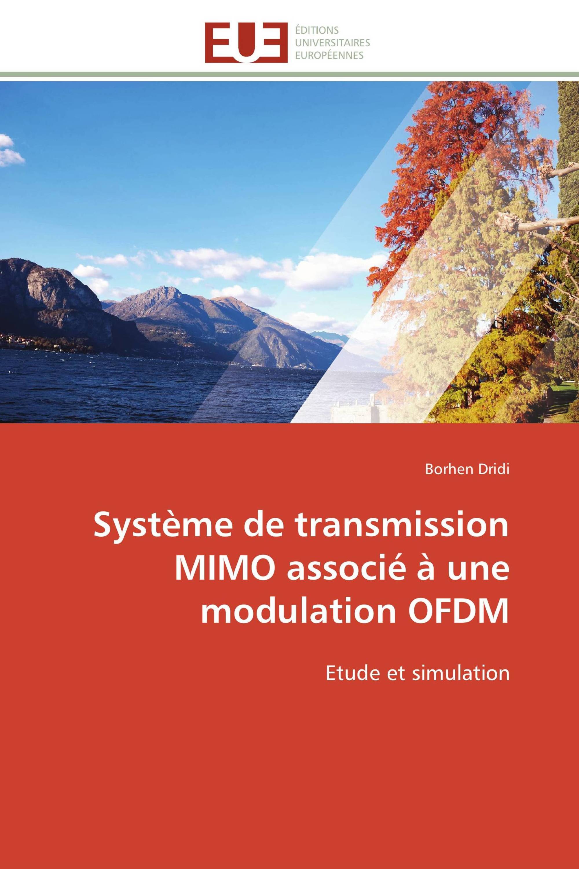 Système de transmission MIMO associé à une modulation OFDM