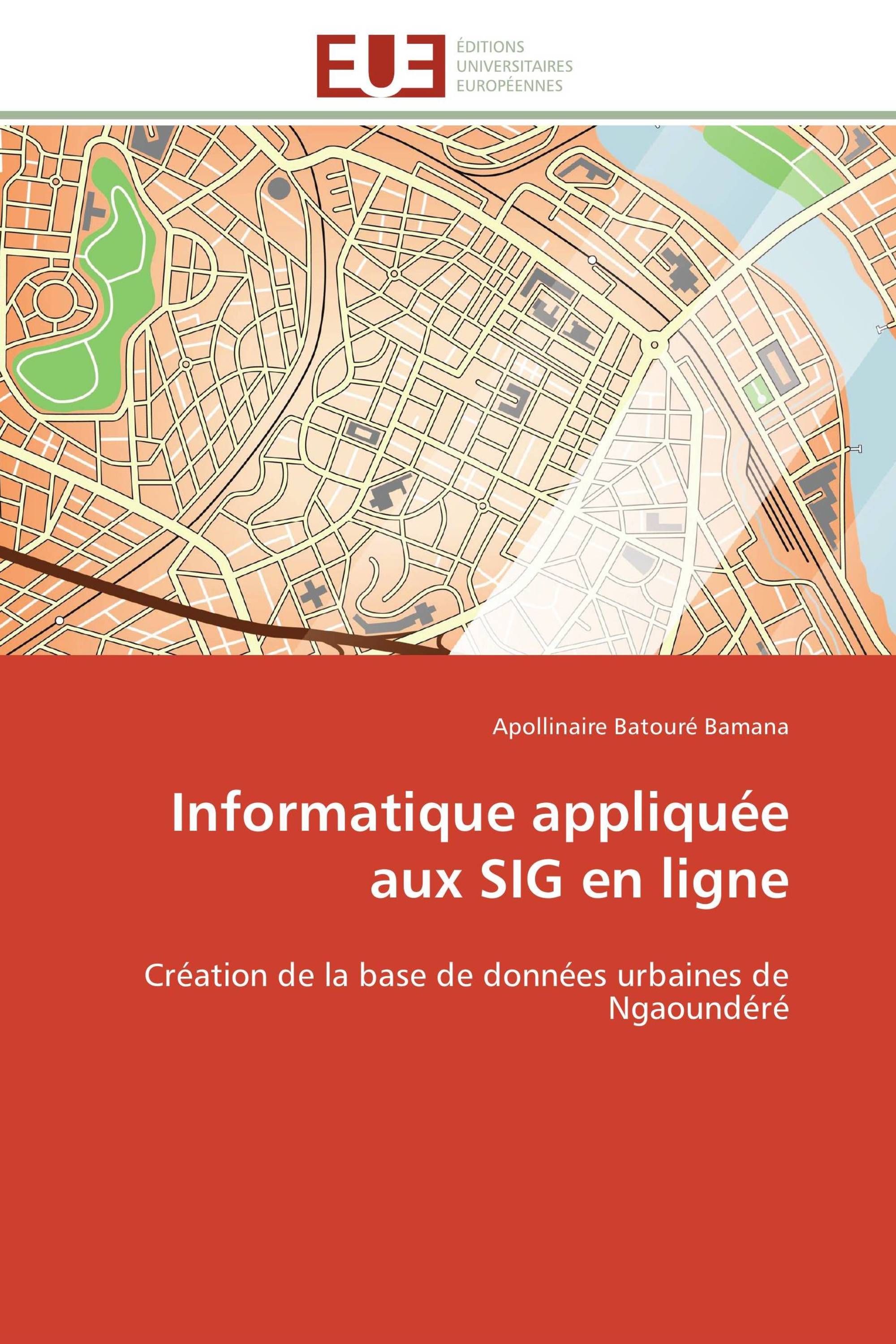 Informatique appliquée aux SIG en ligne