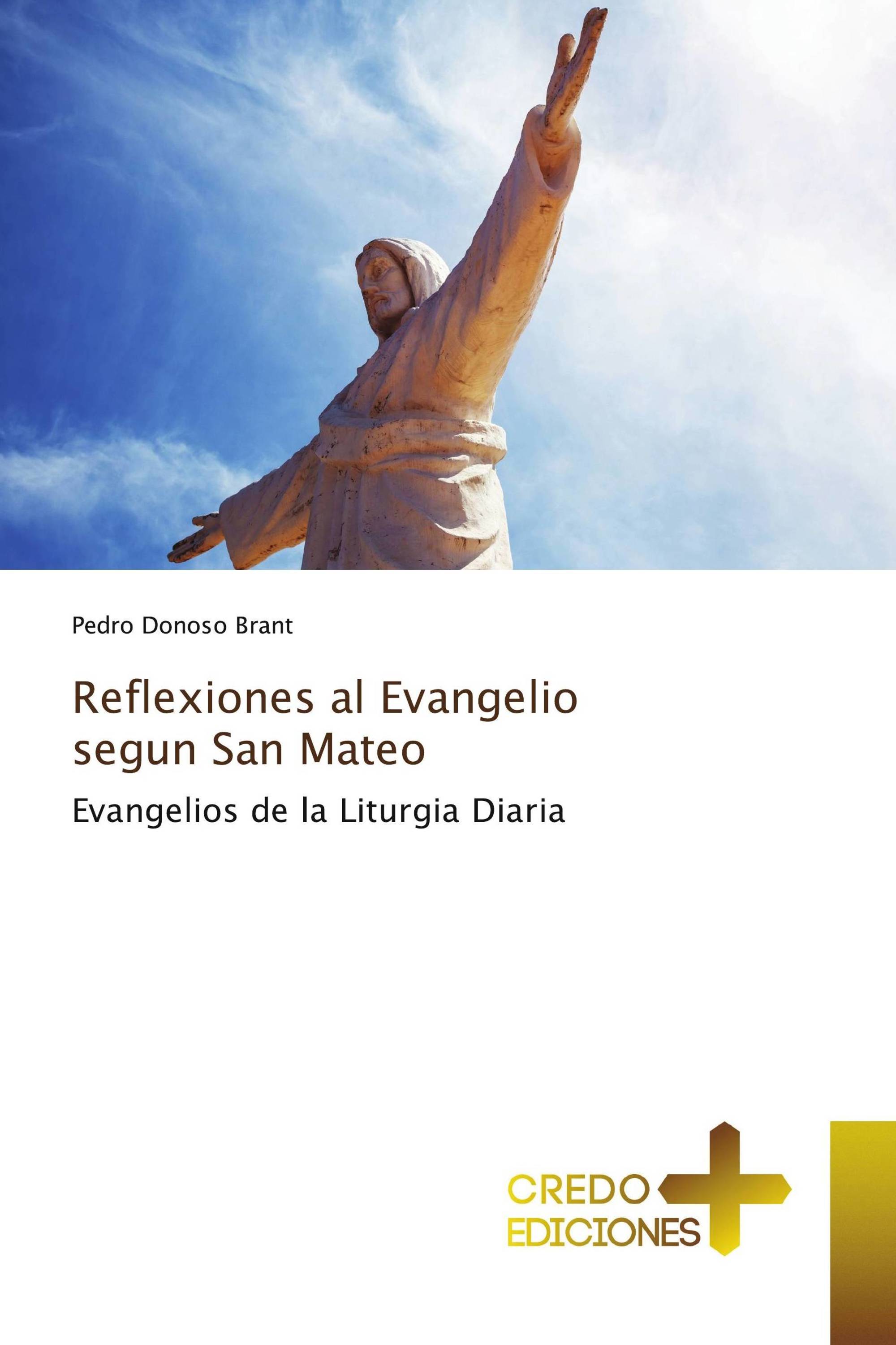 Reflexiones al Evangelio segun San Mateo