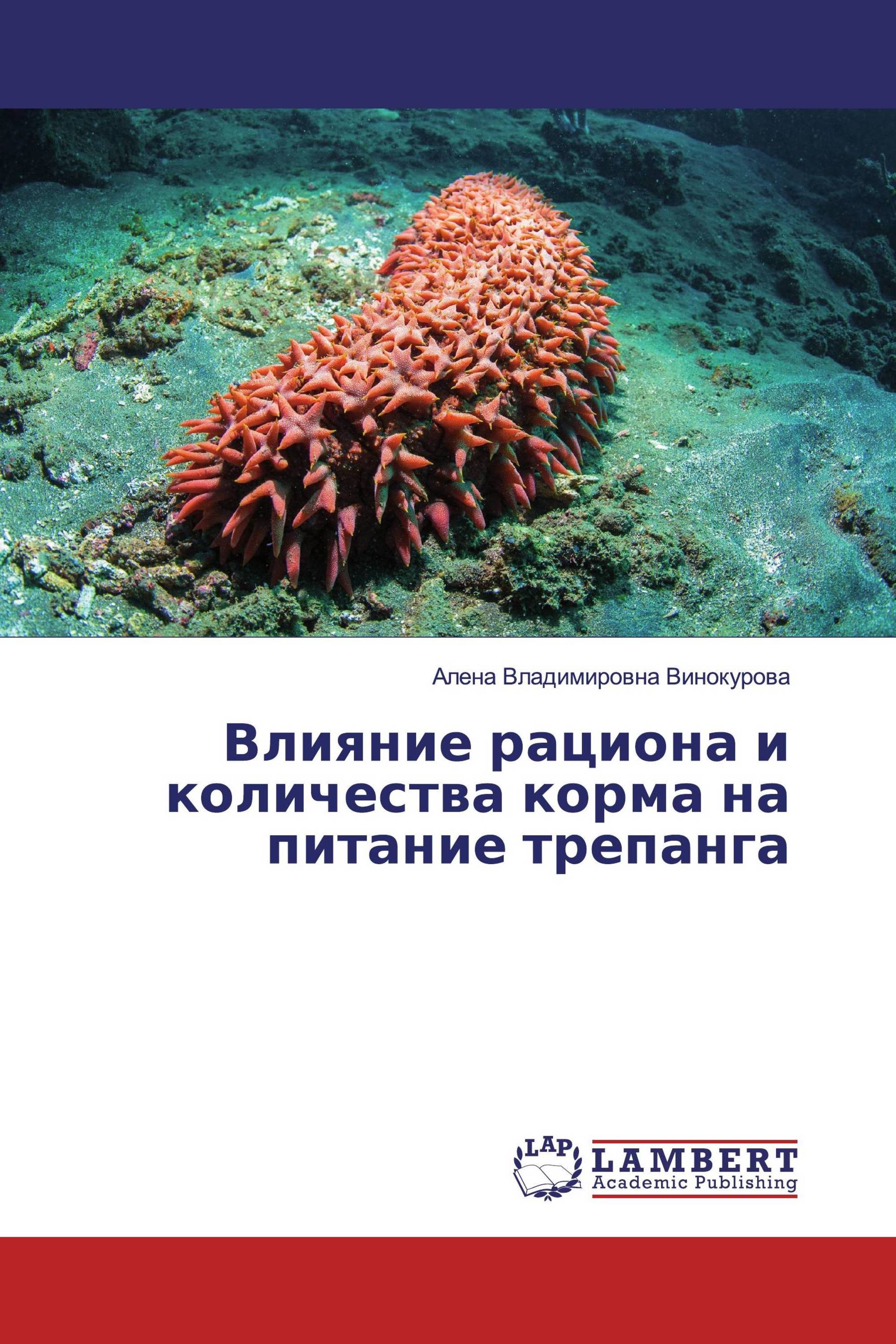 Влияние рациона и количества корма на питание трепанга