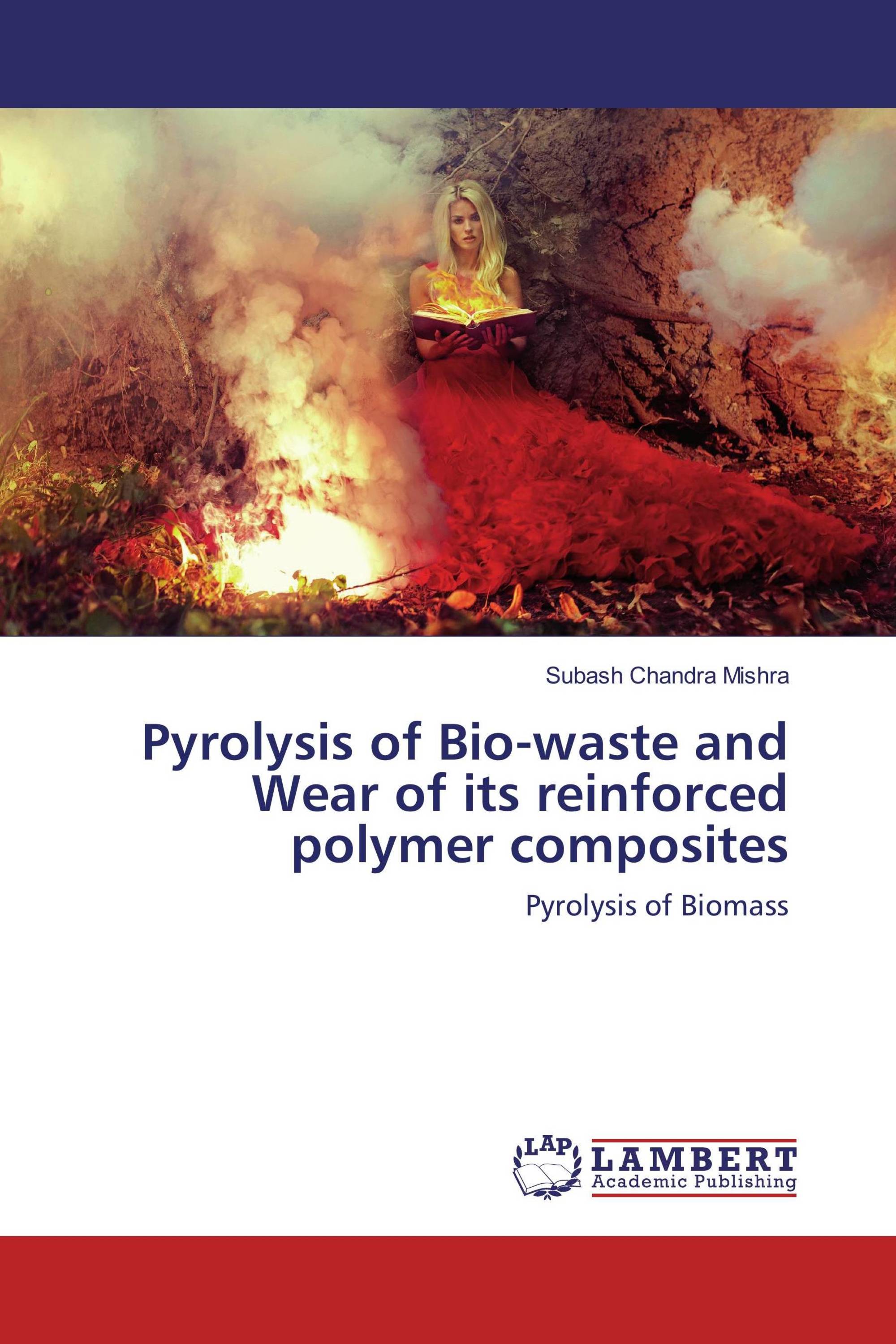 Pyrolysis of Bio-waste and Wear of its reinforced polymer composites