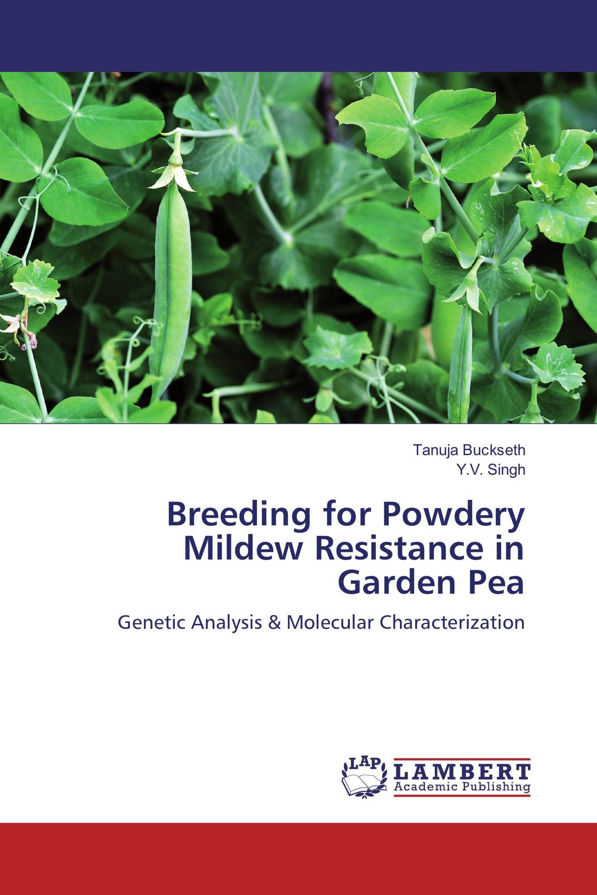 How much seed of pea should be treated with one packet of rhizobium culture image