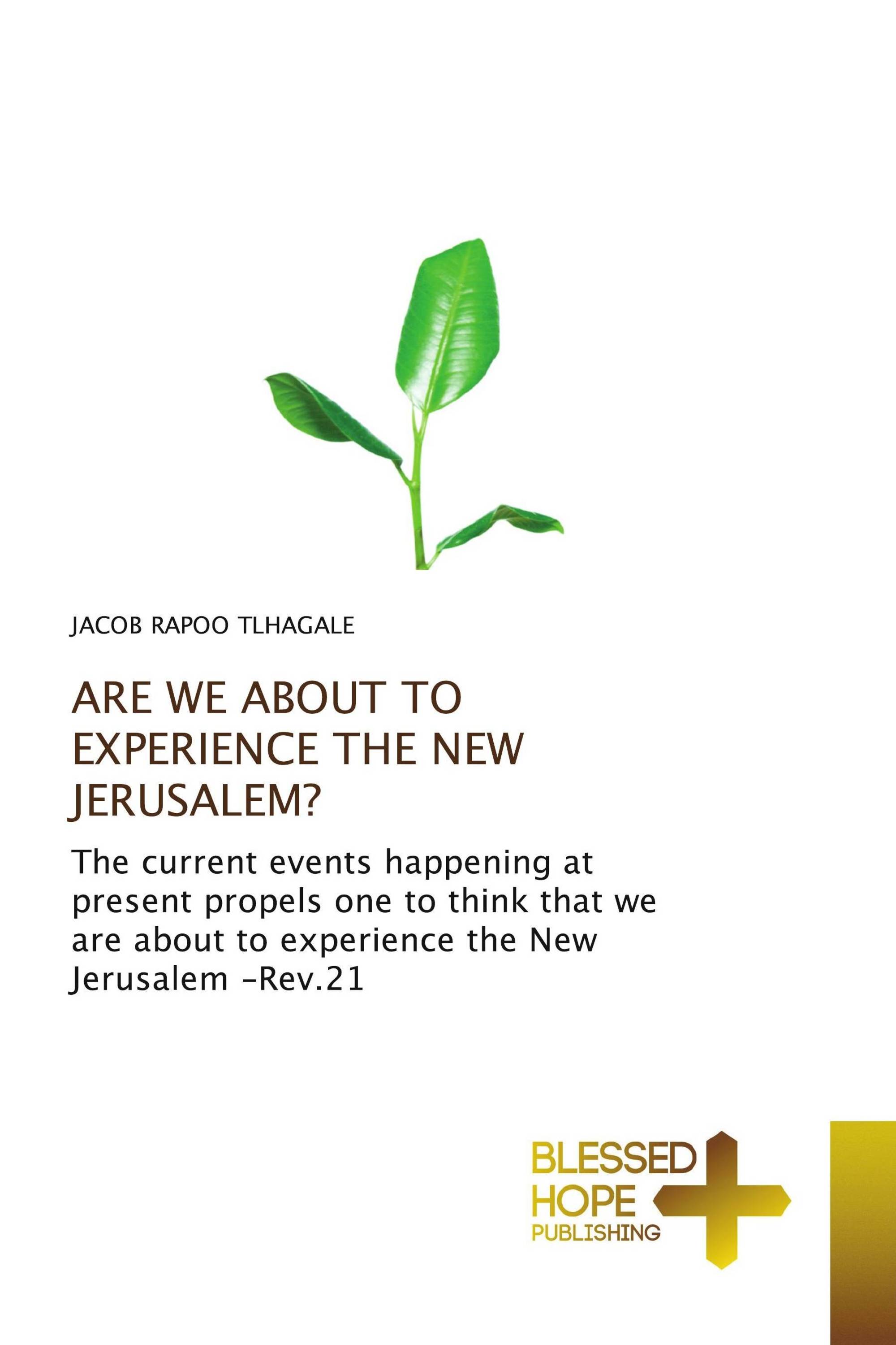 ARE WE ABOUT TO EXPERIENCE THE NEW JERUSALEM?