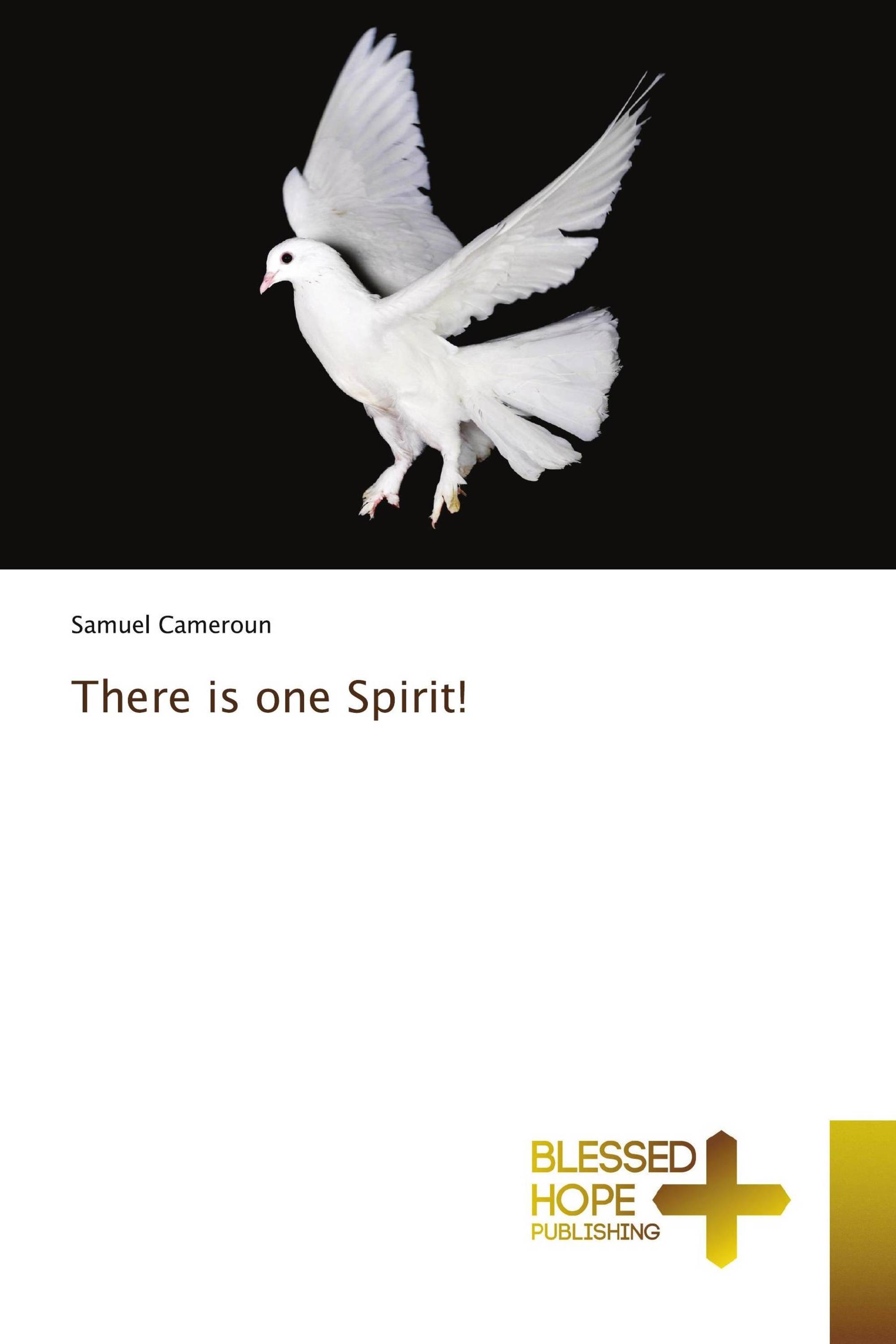 There is one Spirit!