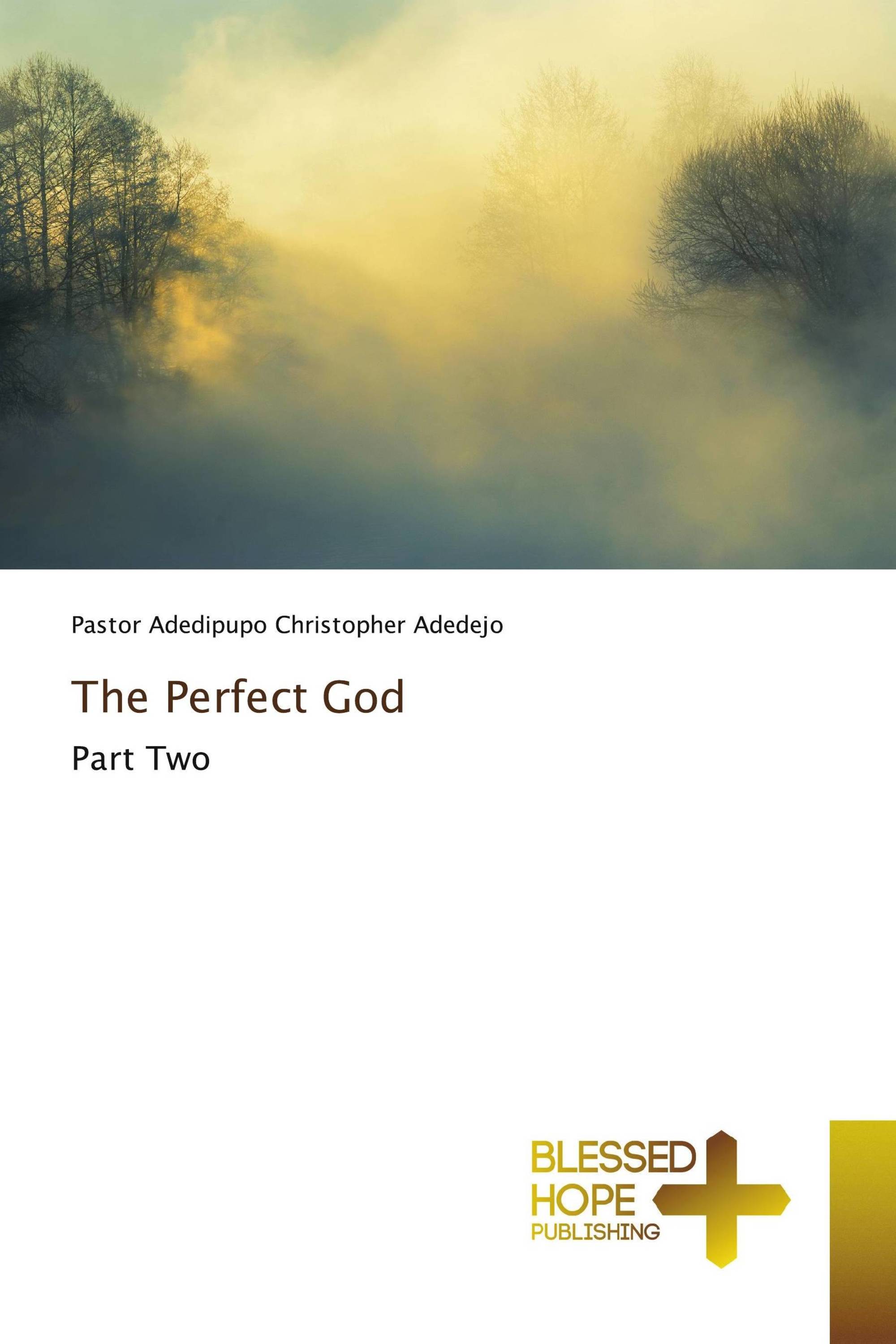 The Perfect God