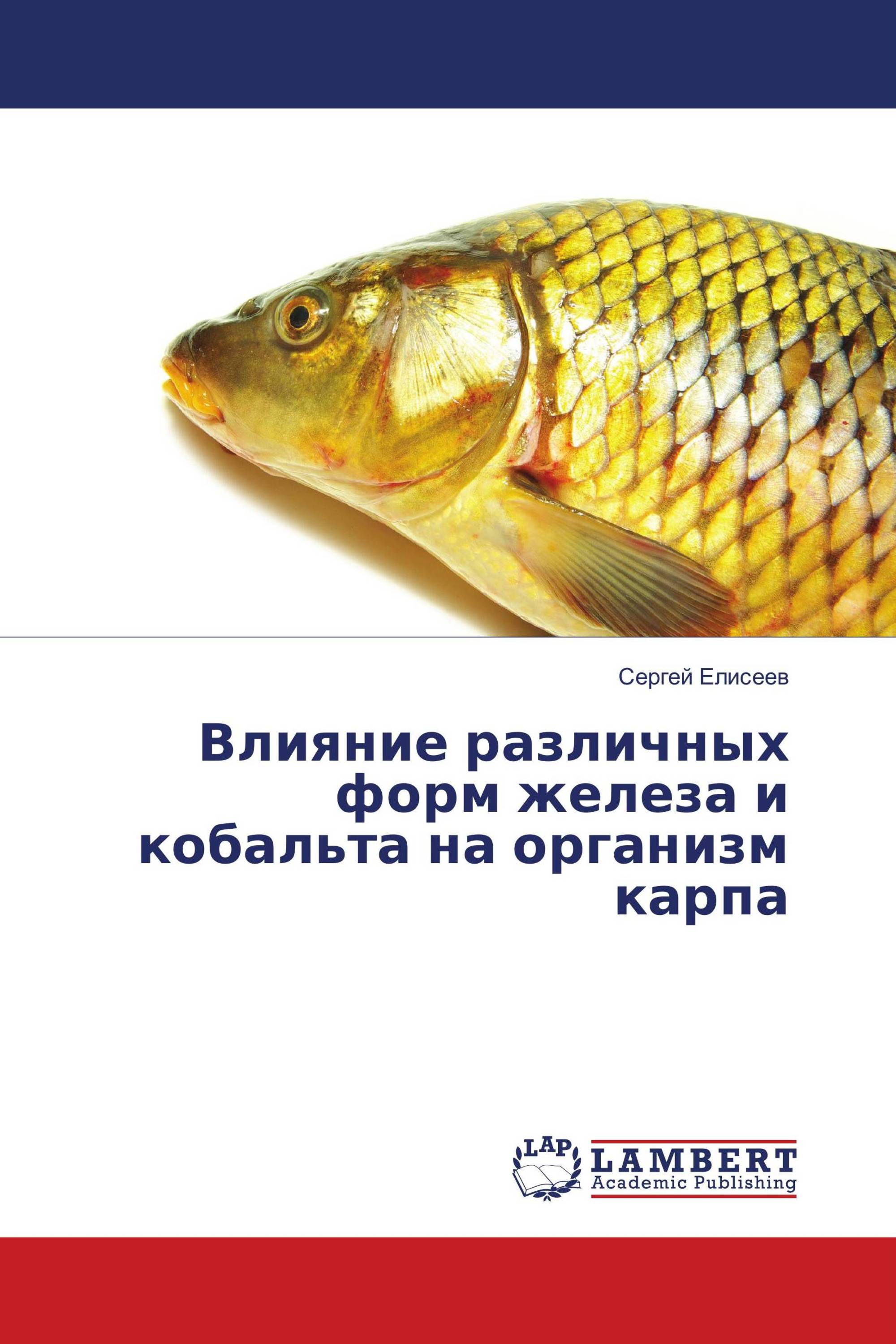 Влияние различных форм железа и кобальта на организм карпа