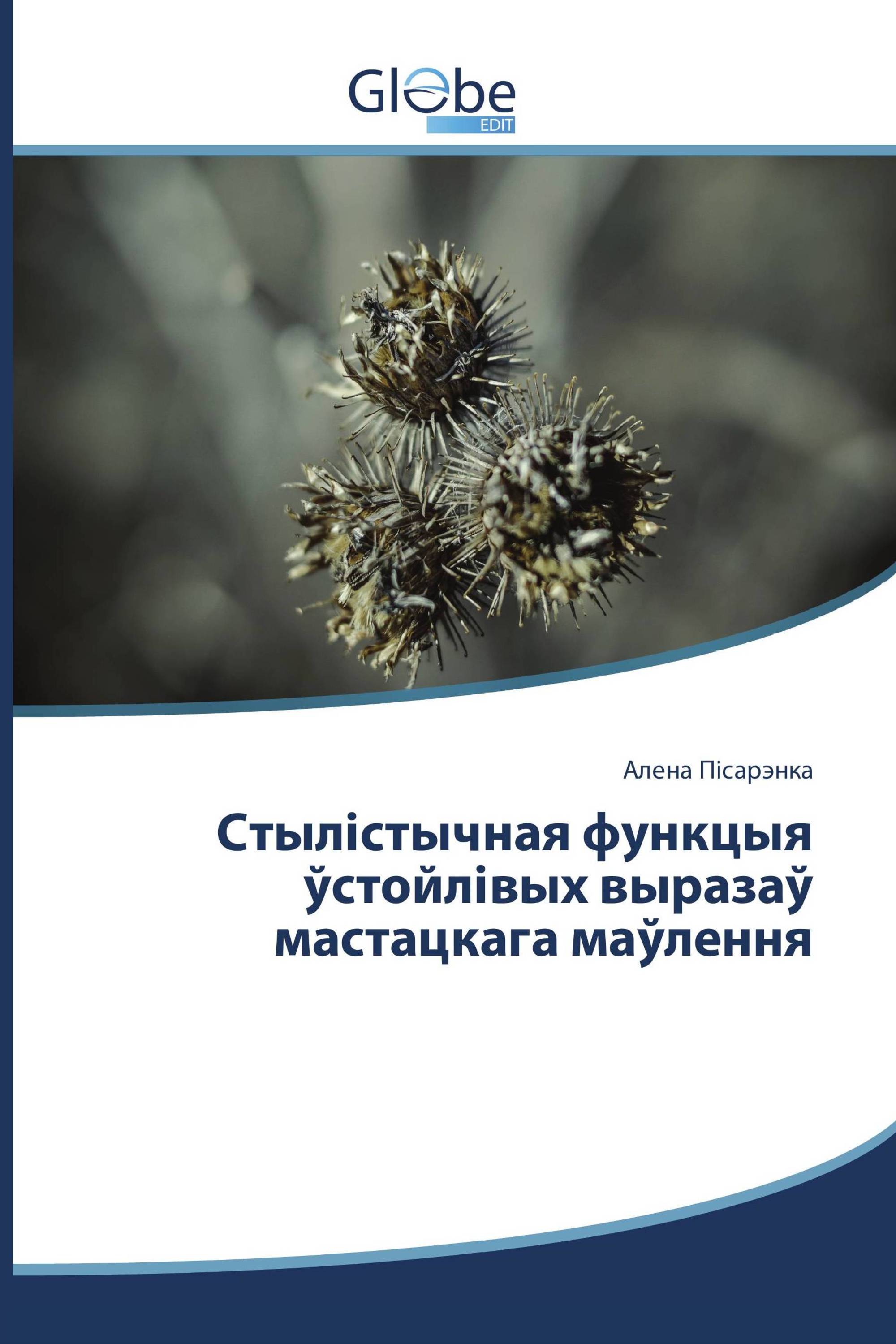 Стылістычная функцыя ўстойлівых выразаў мастацкага маўлення