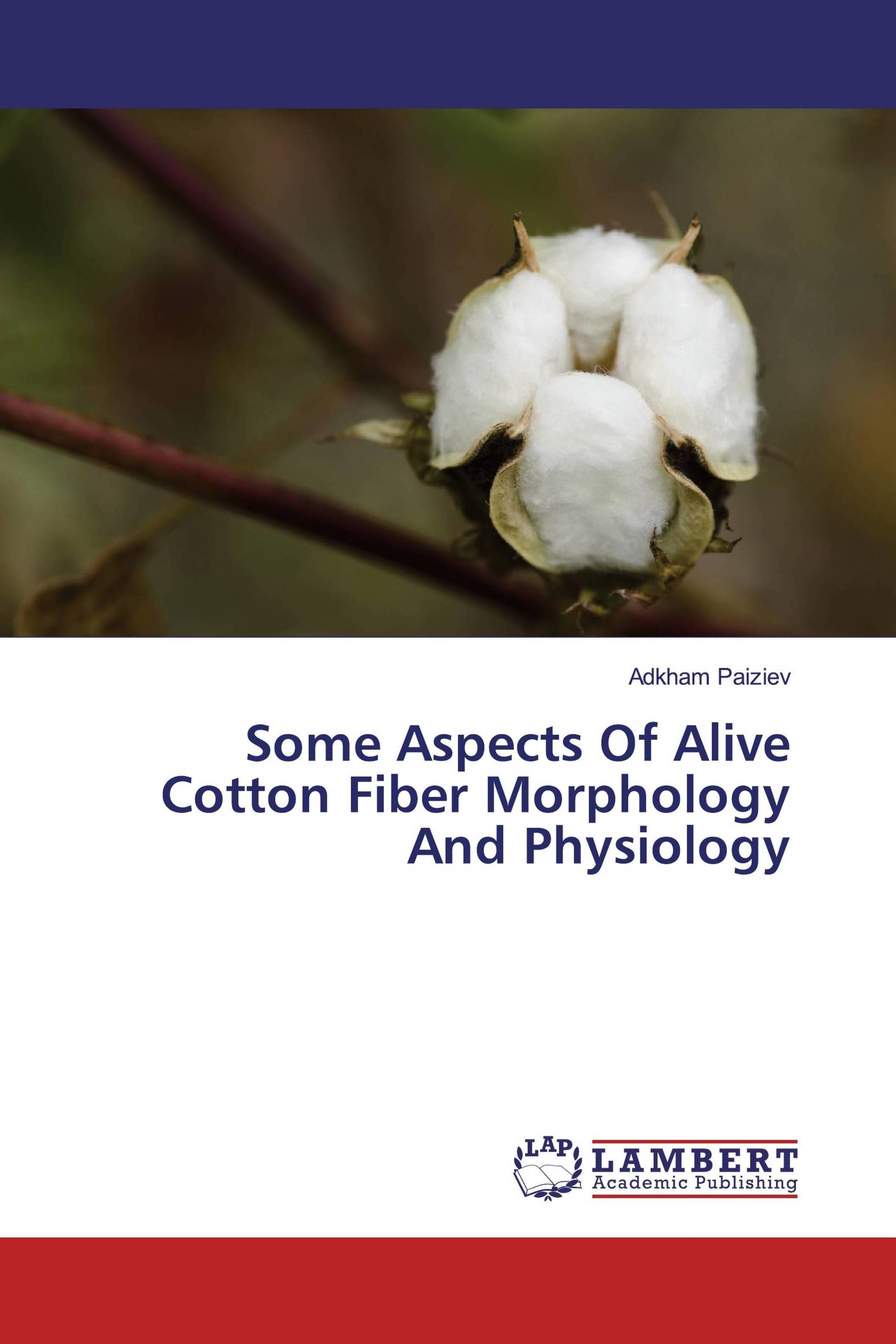 astellia cotton fiber astellia cotton fiber