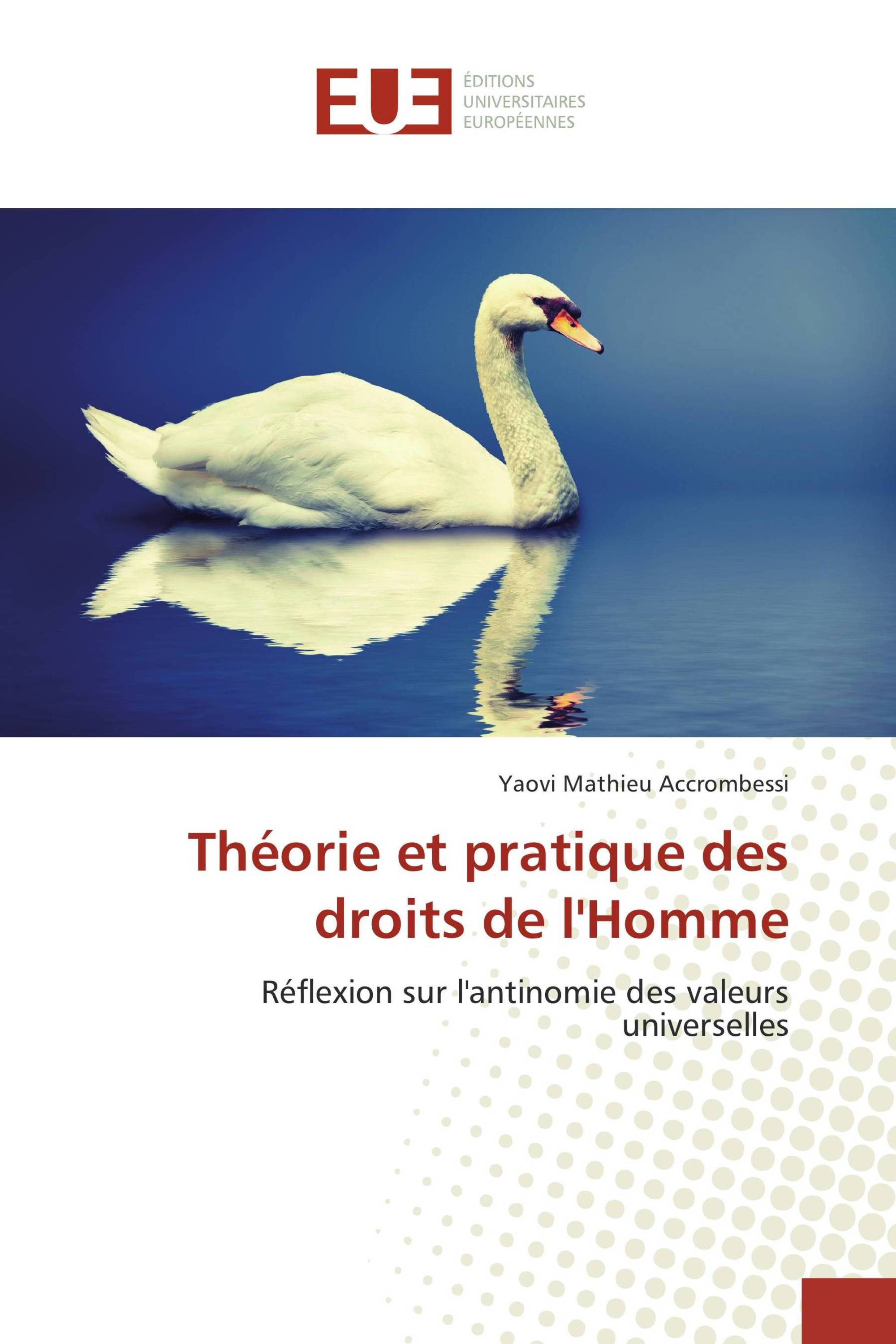 Théorie et pratique des droits de l'Homme