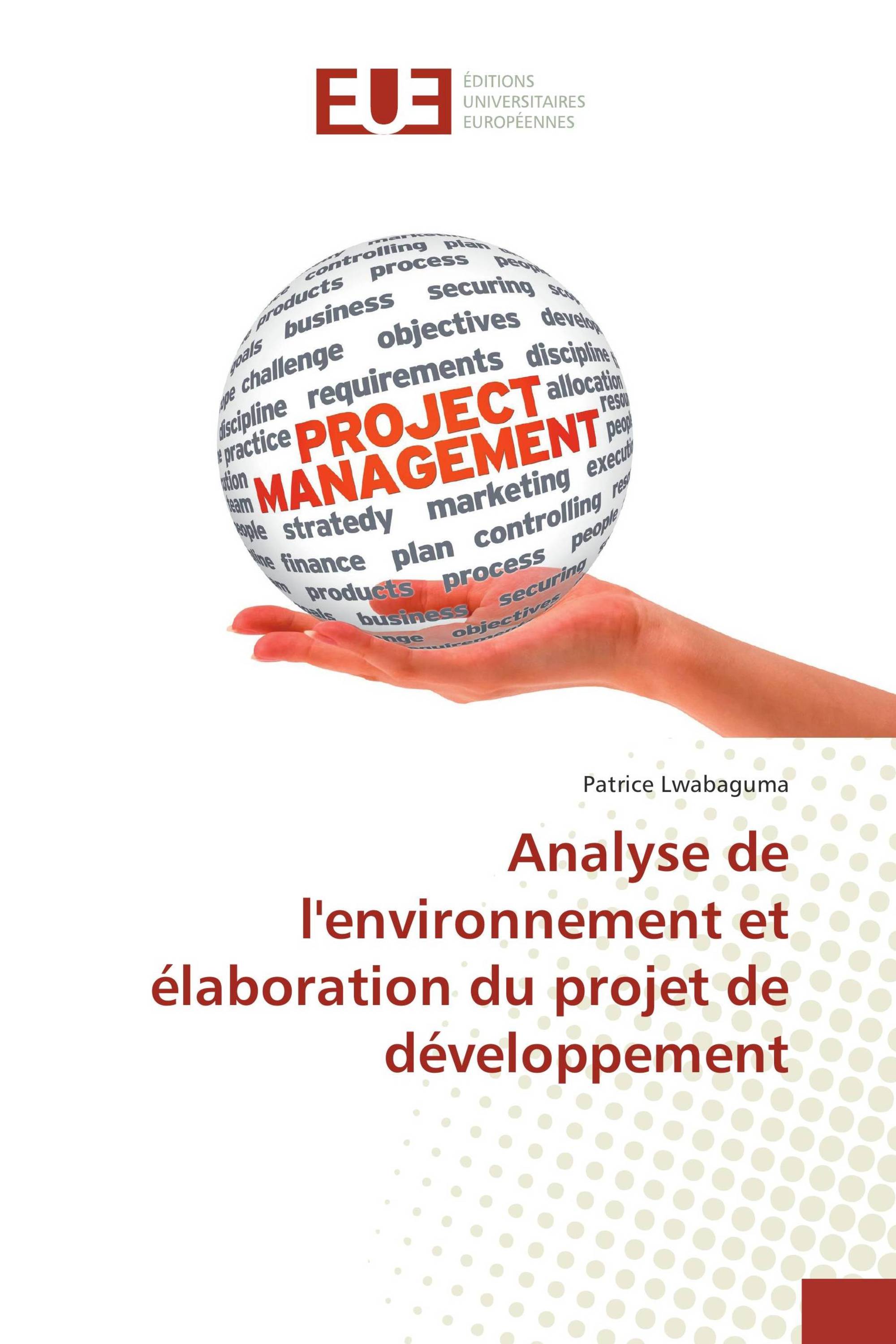 Analyse de l'environnement et élaboration du projet de développement