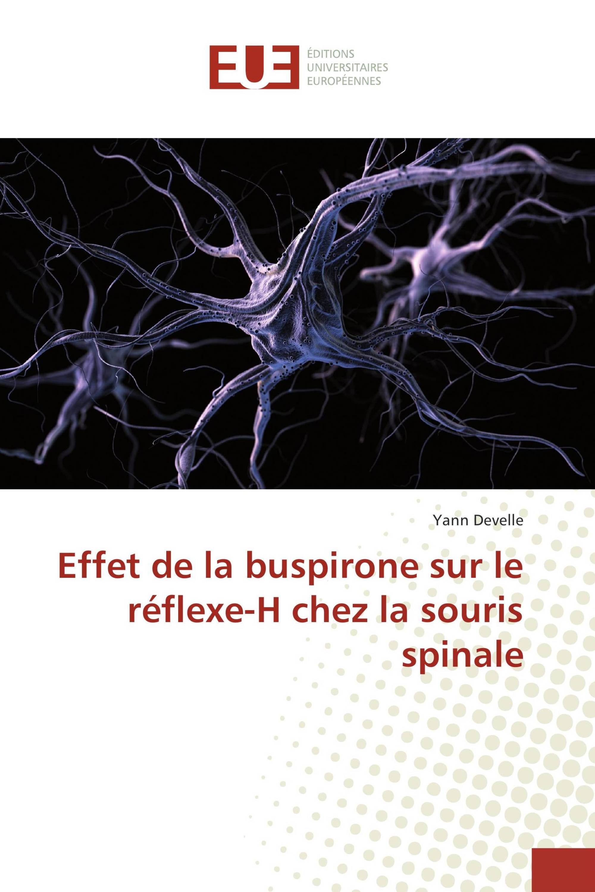 Effet de la buspirone sur le réflexe-H chez la souris spinale