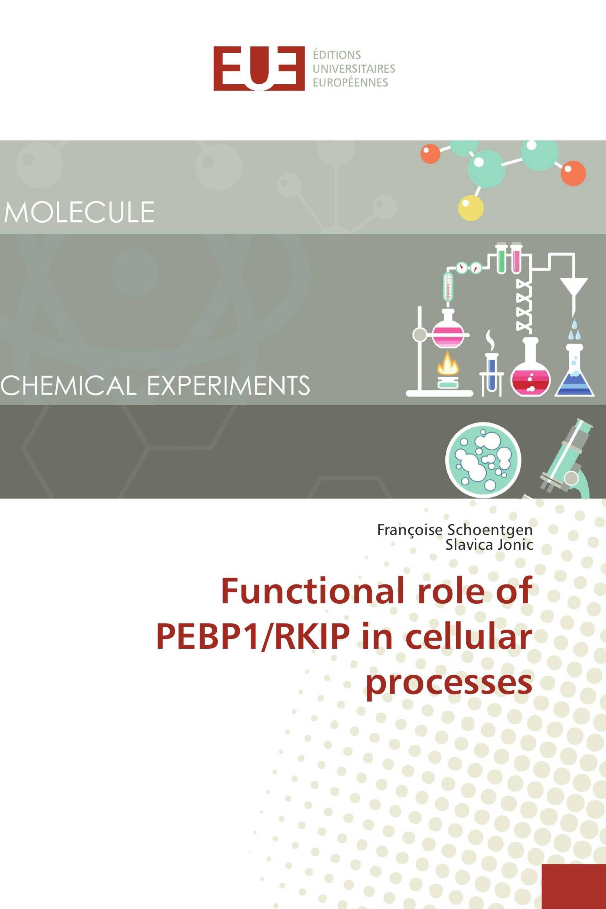 Functional role of PEBP1/RKIP in cellular processes