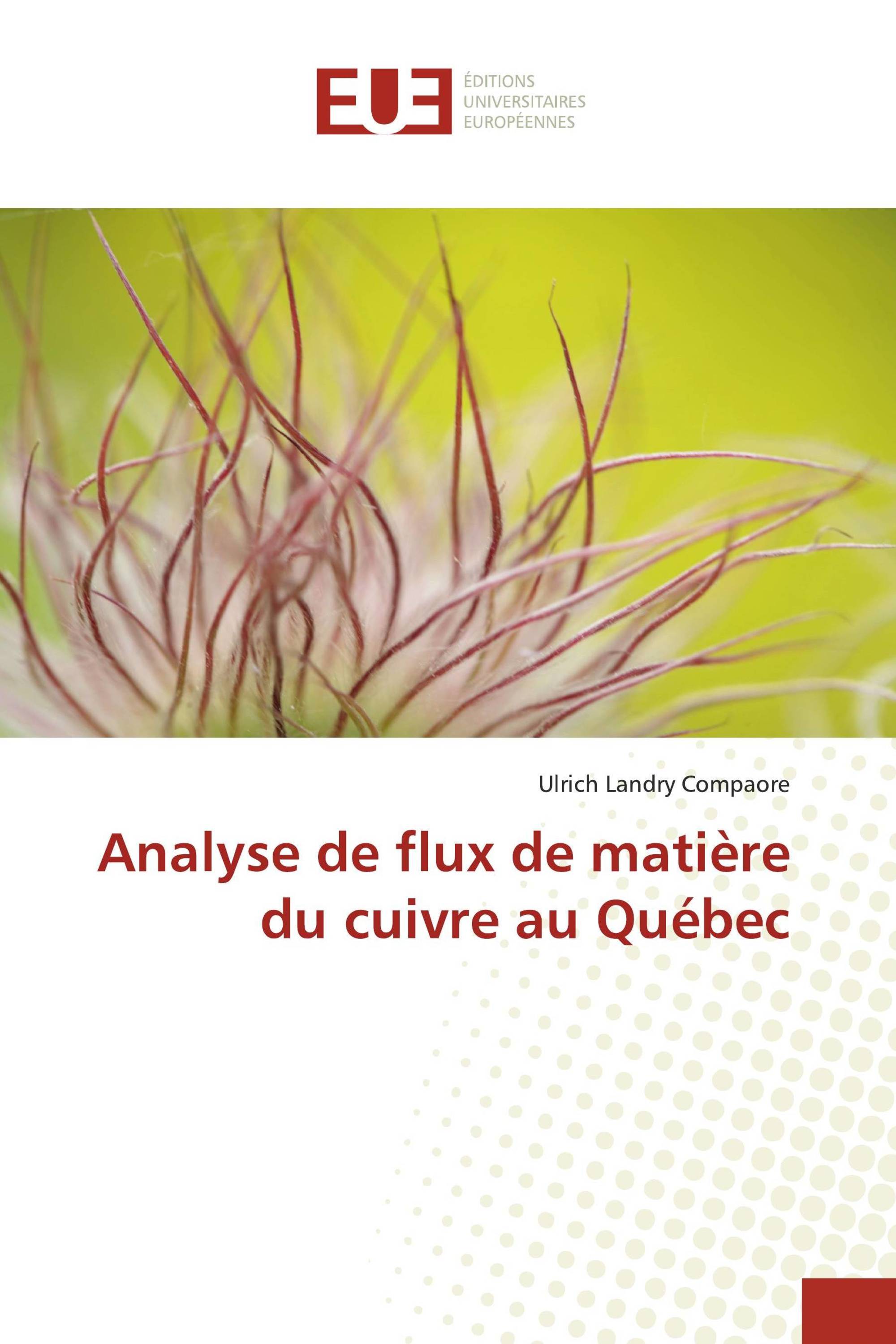 Analyse de flux de matière du cuivre au Québec