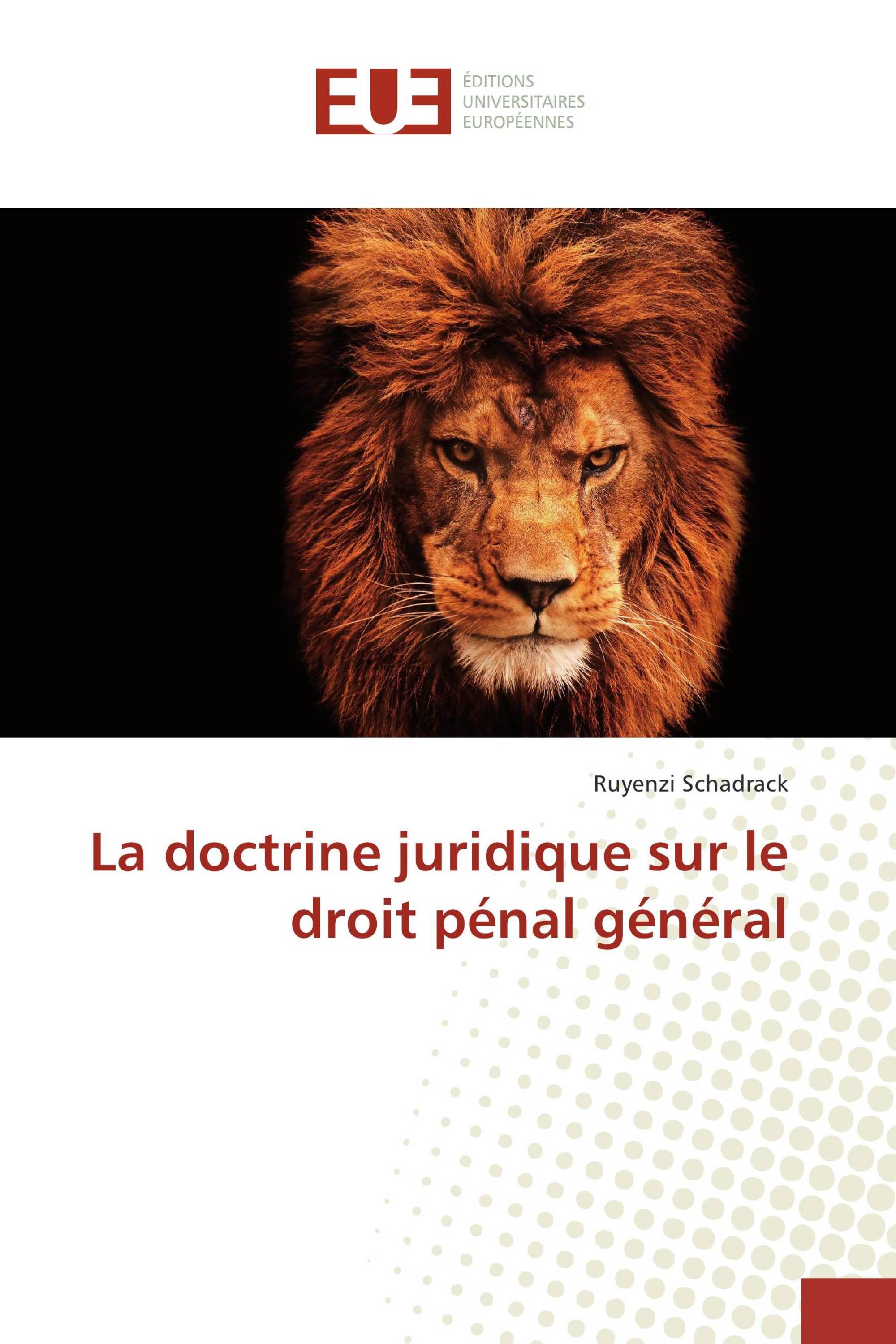 La doctrine juridique sur le droit pénal général