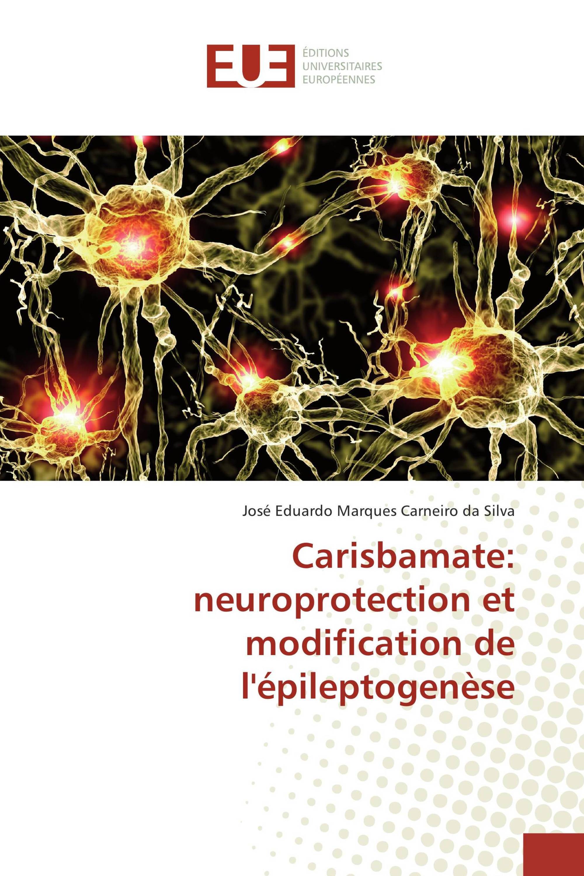 Carisbamate: neuroprotection et modification de l'épileptogenèse