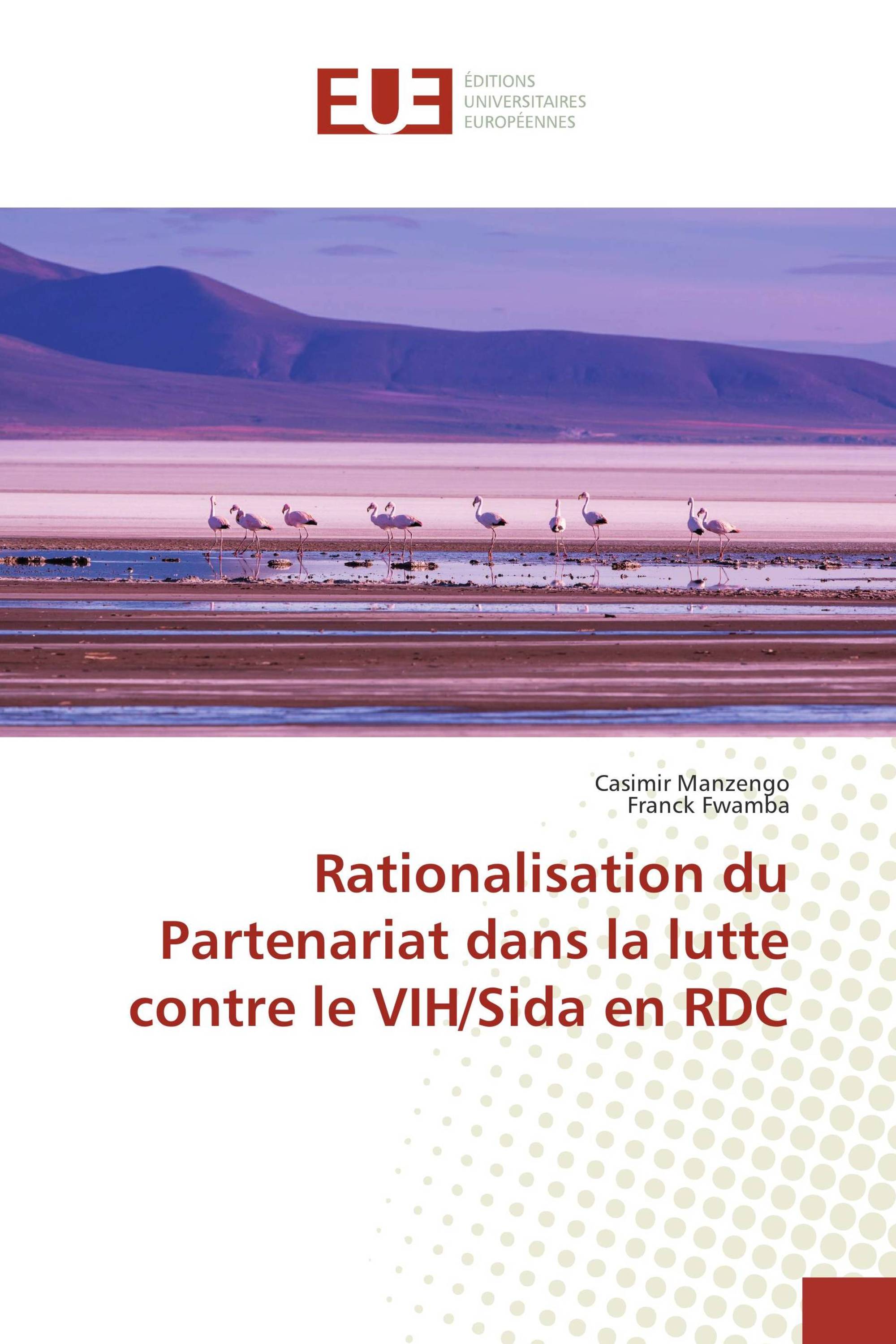 Rationalisation du Partenariat dans la lutte contre le VIH/Sida en RDC