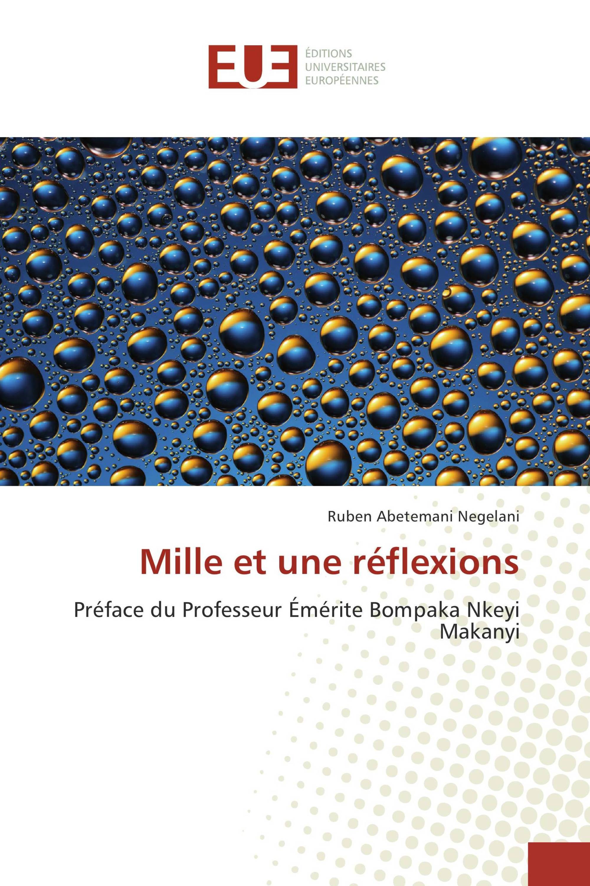 Mille et une réflexions