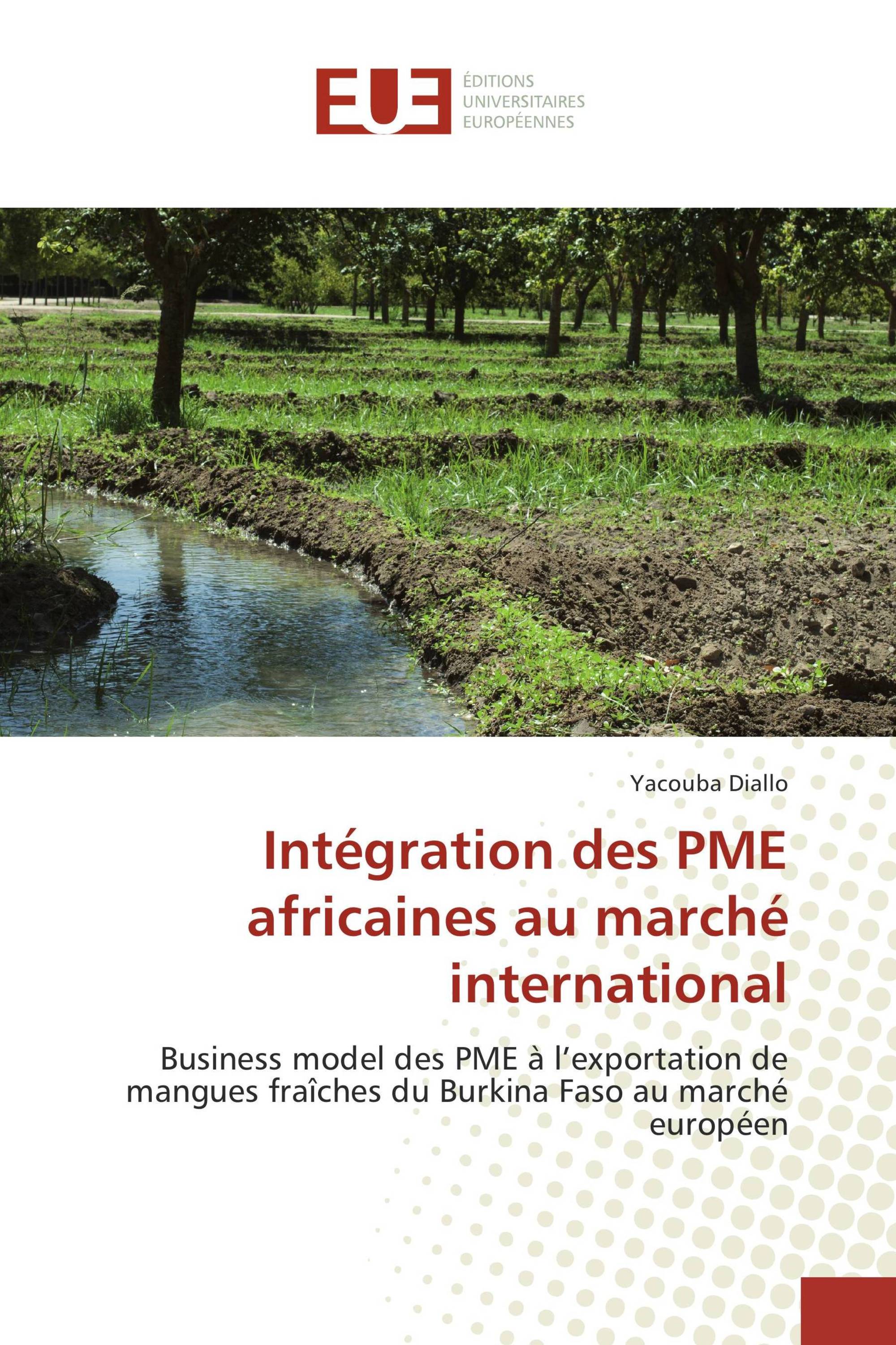 Intégration des PME africaines au marché international