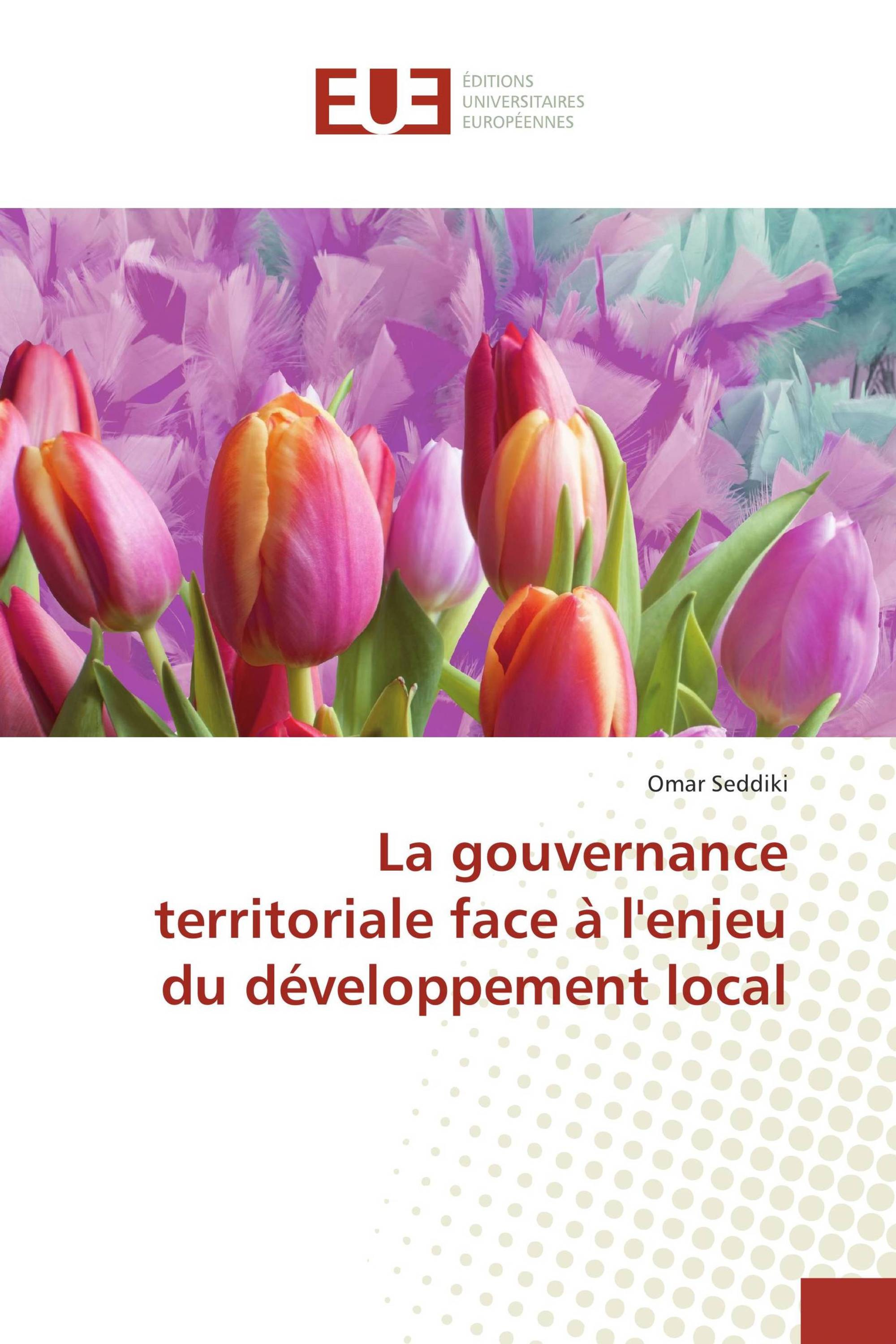 La gouvernance territoriale face à l'enjeu du développement local