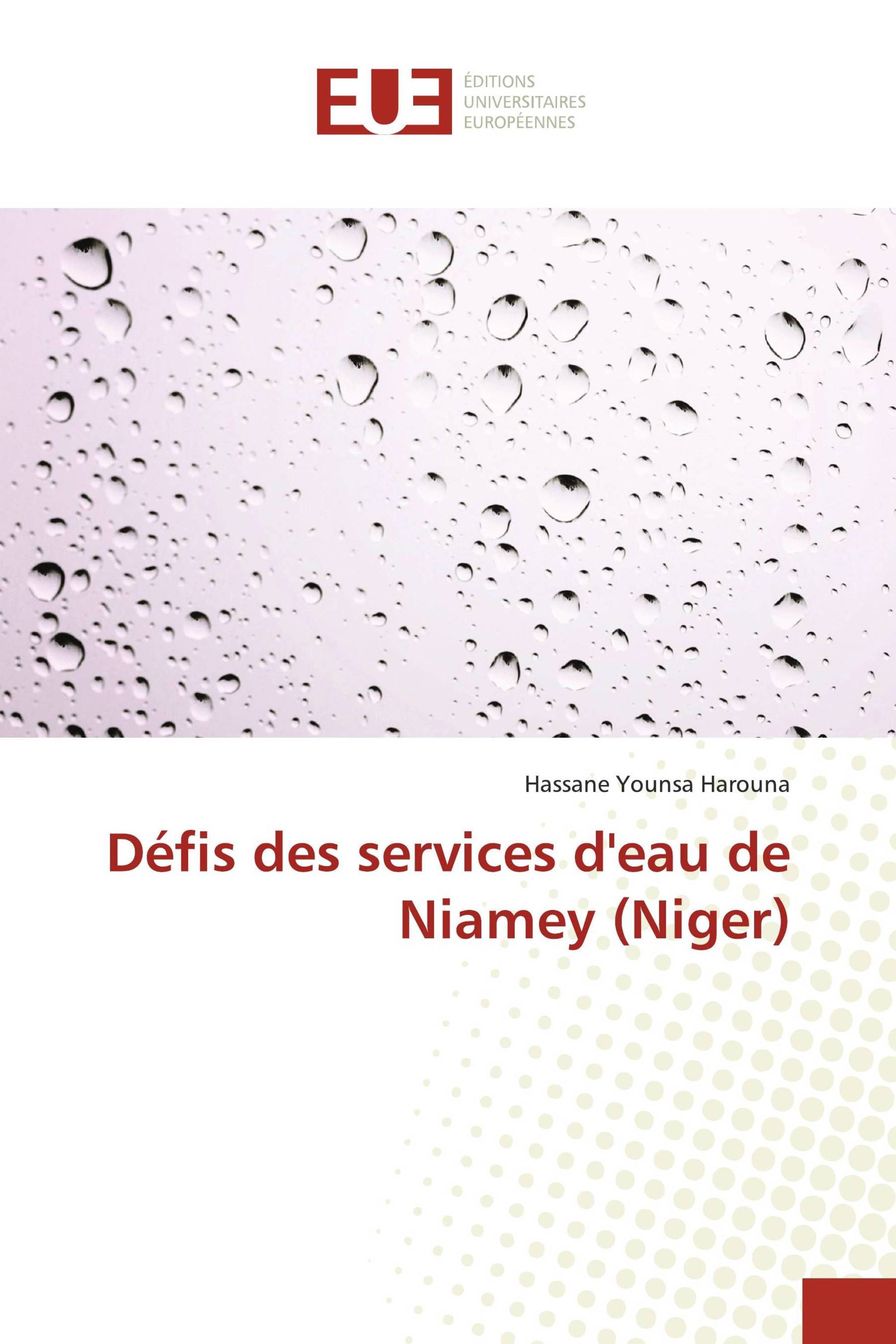 Défis des services d'eau de Niamey (Niger)