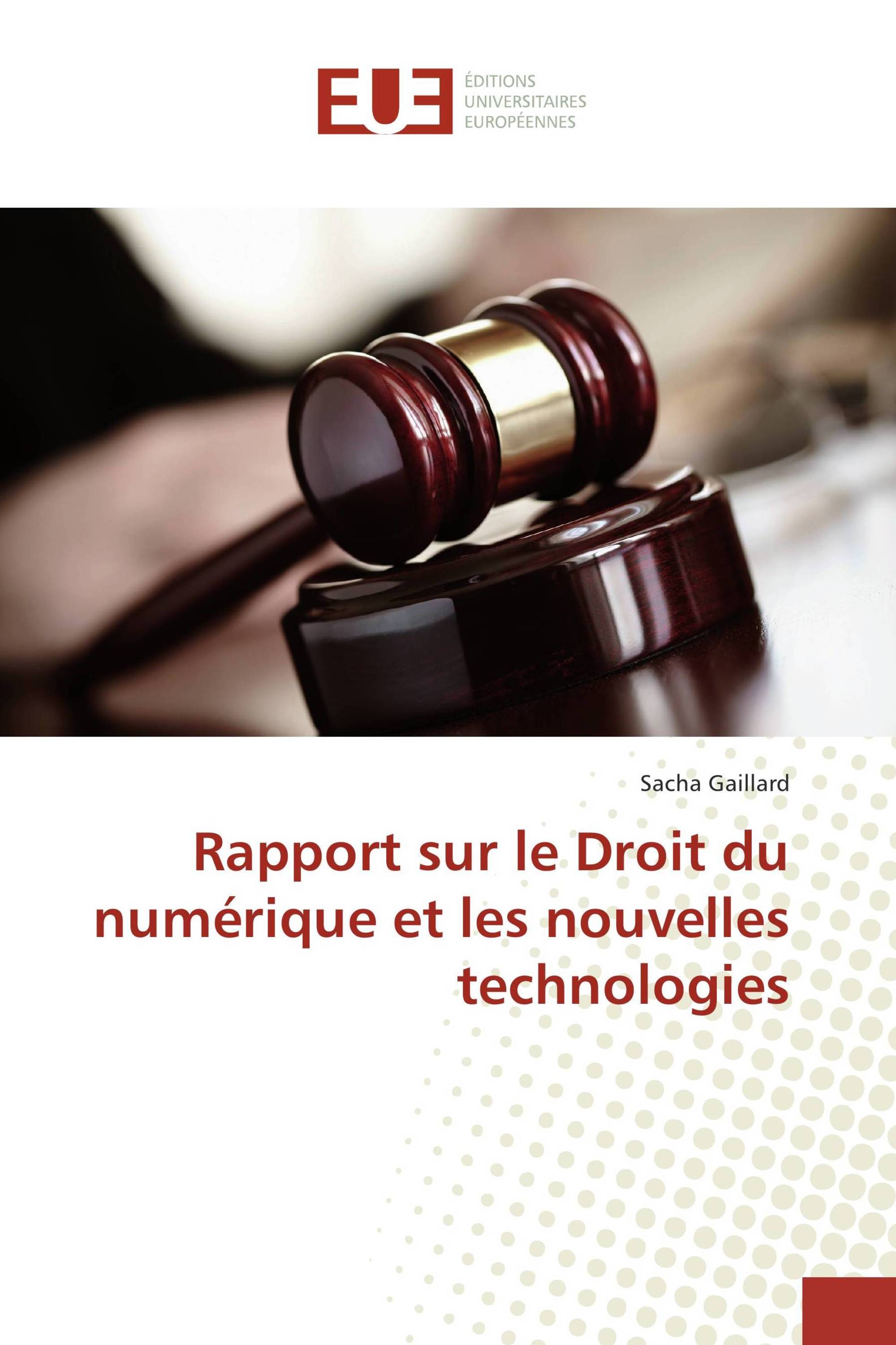 Rapport sur le Droit du numérique et les nouvelles technologies