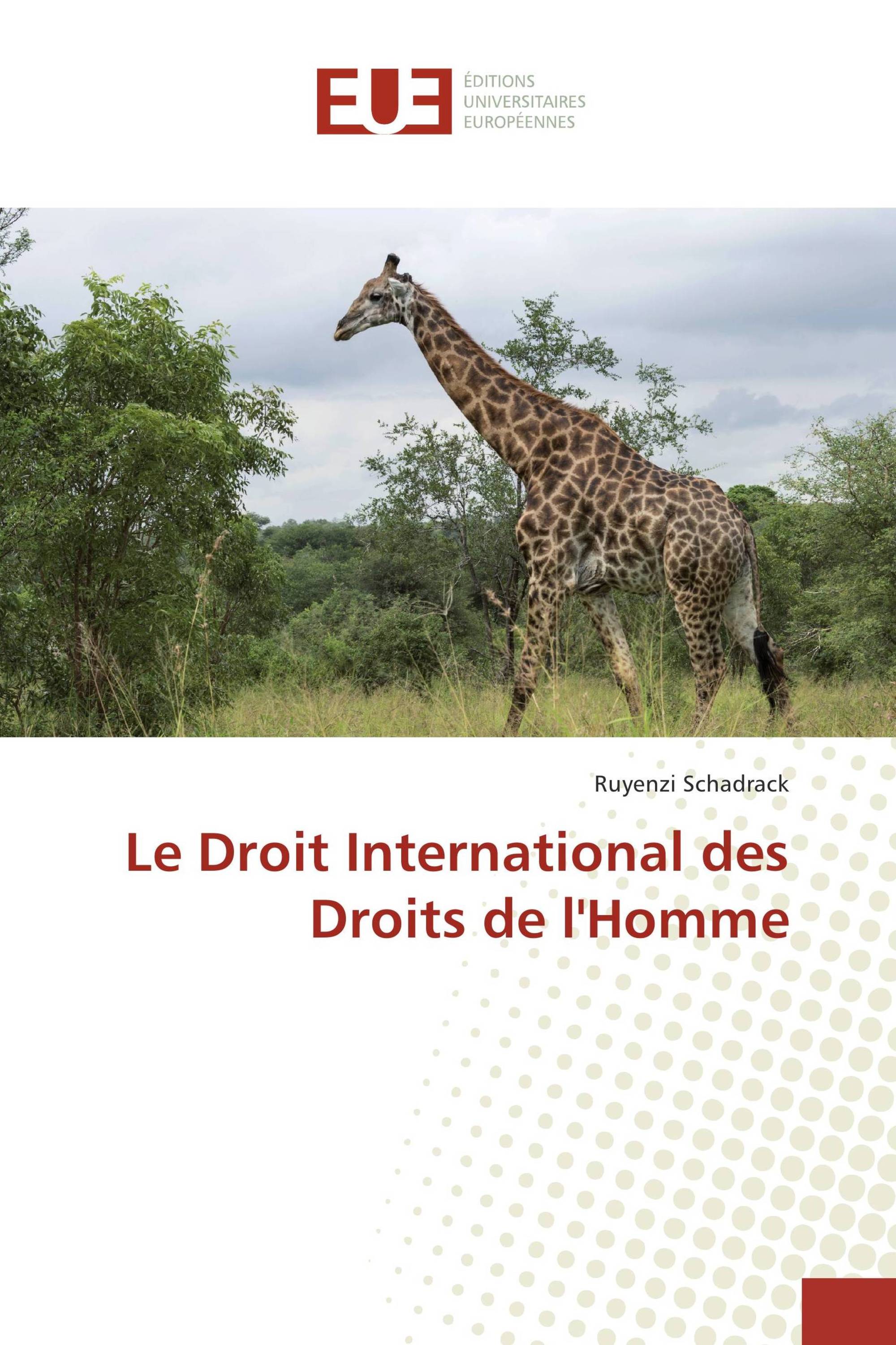 Le Droit International des Droits de l'Homme