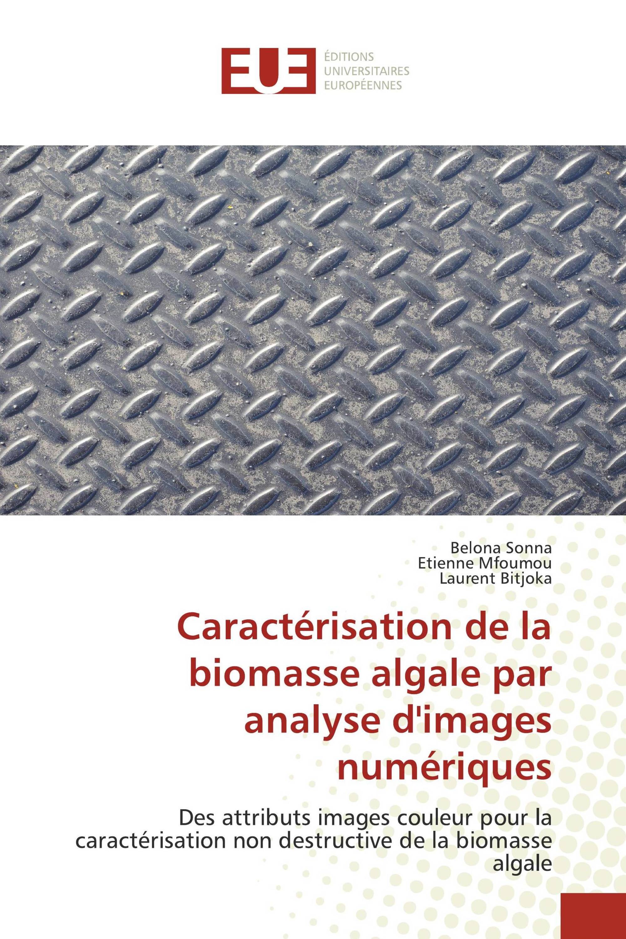 Caractérisation de la biomasse algale par analyse d'images numériques