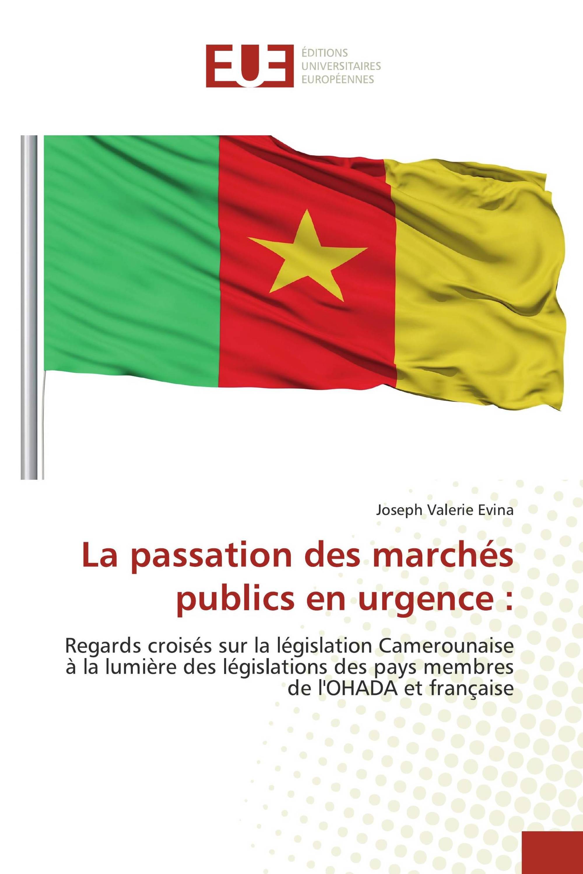 La passation des marchés publics en urgence :