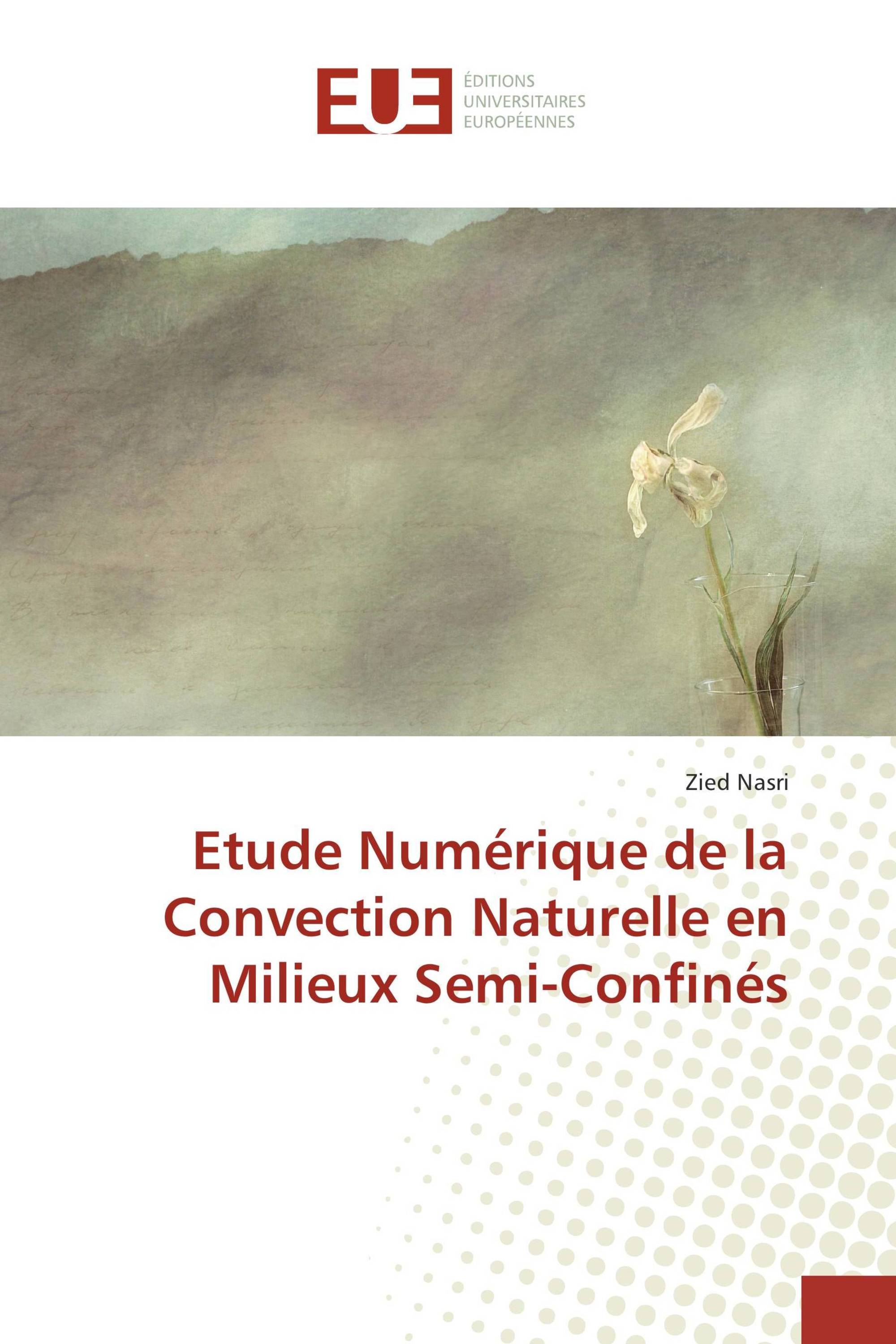 Etude Numérique de la Convection Naturelle en Milieux Semi-Confinés