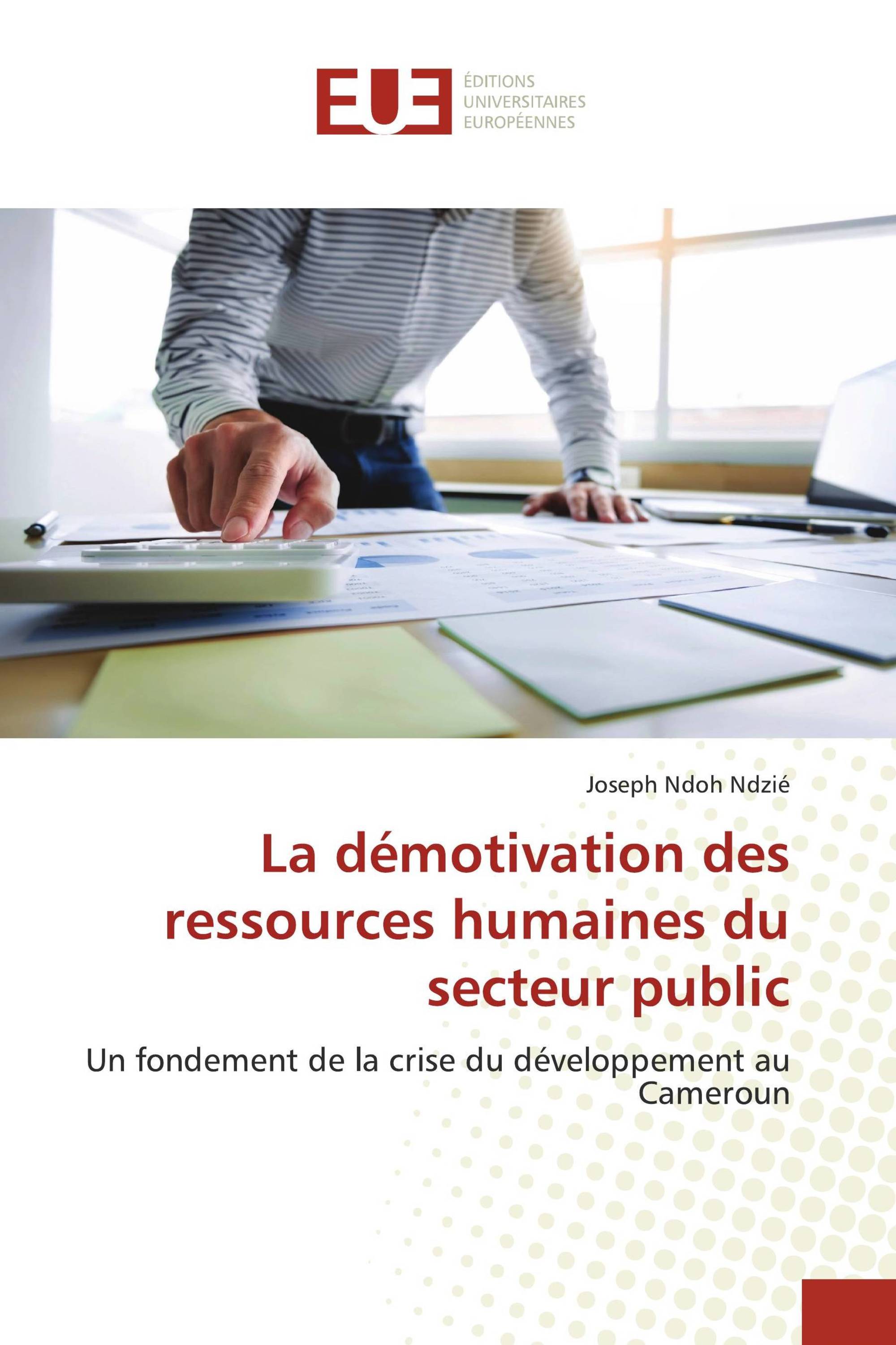 La démotivation des ressources humaines du secteur public