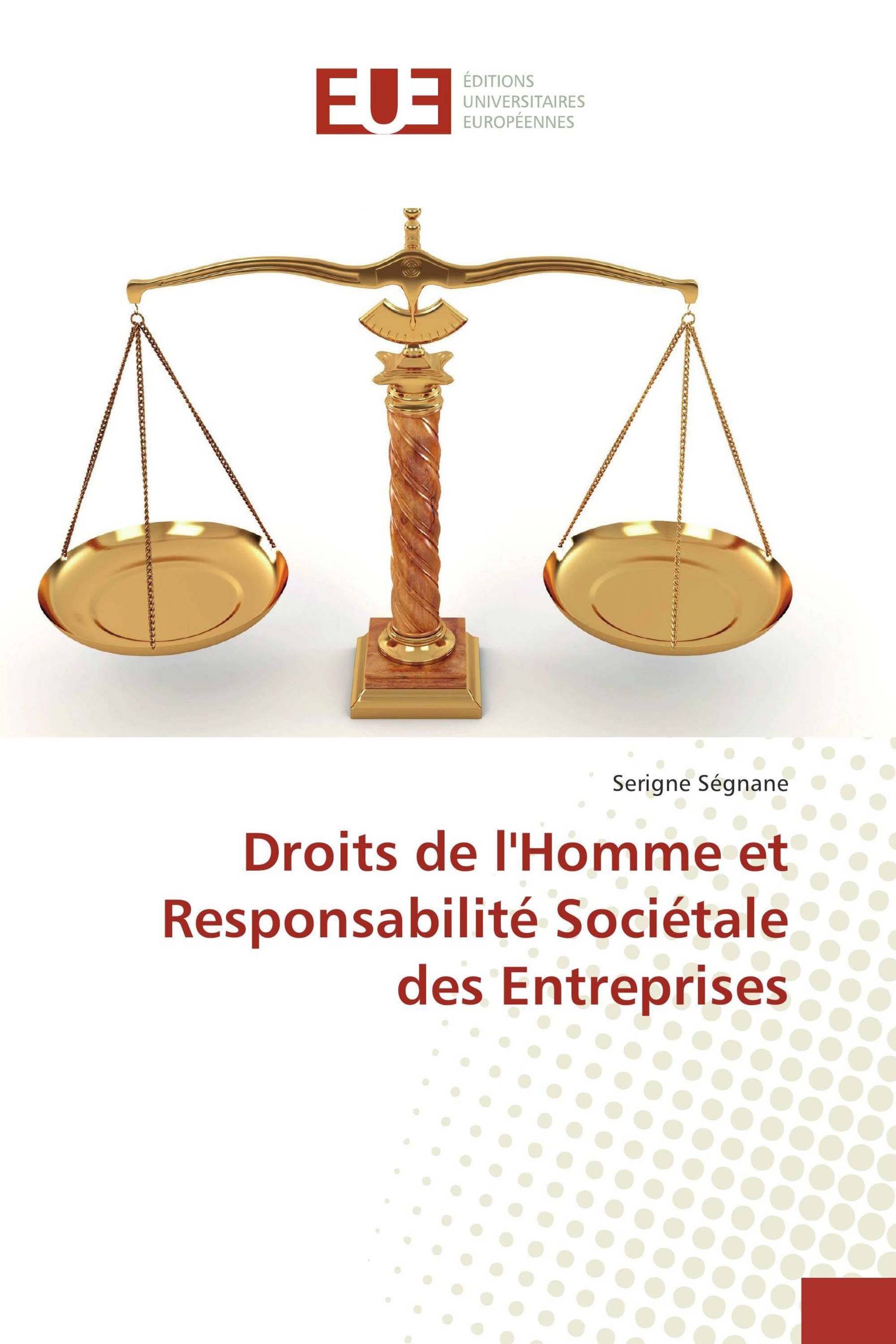 Droits de l'Homme et Responsabilité Sociétale des Entreprises