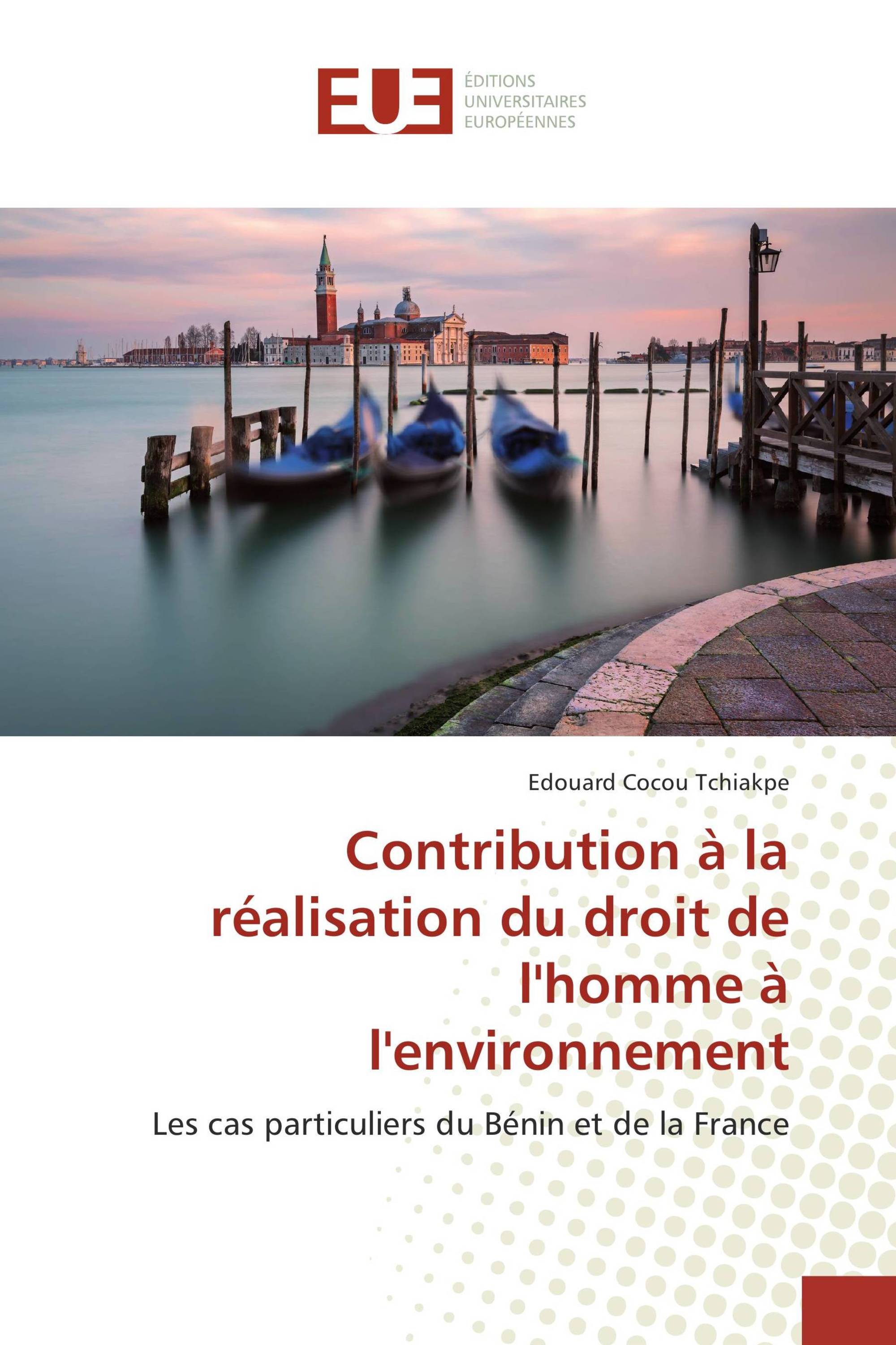 Contribution à la réalisation du droit de l'homme à l'environnement