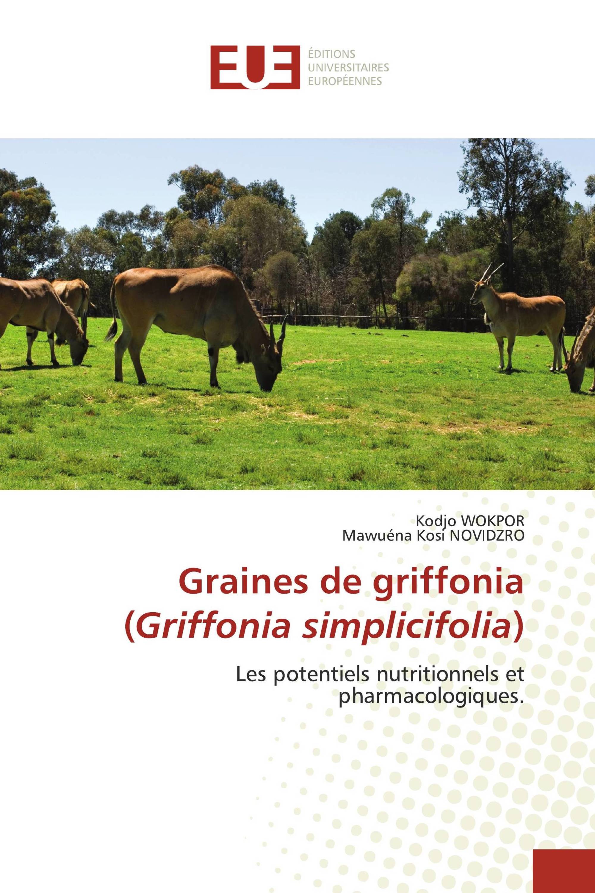 Graines de griffonia (Griffonia simplicifolia)