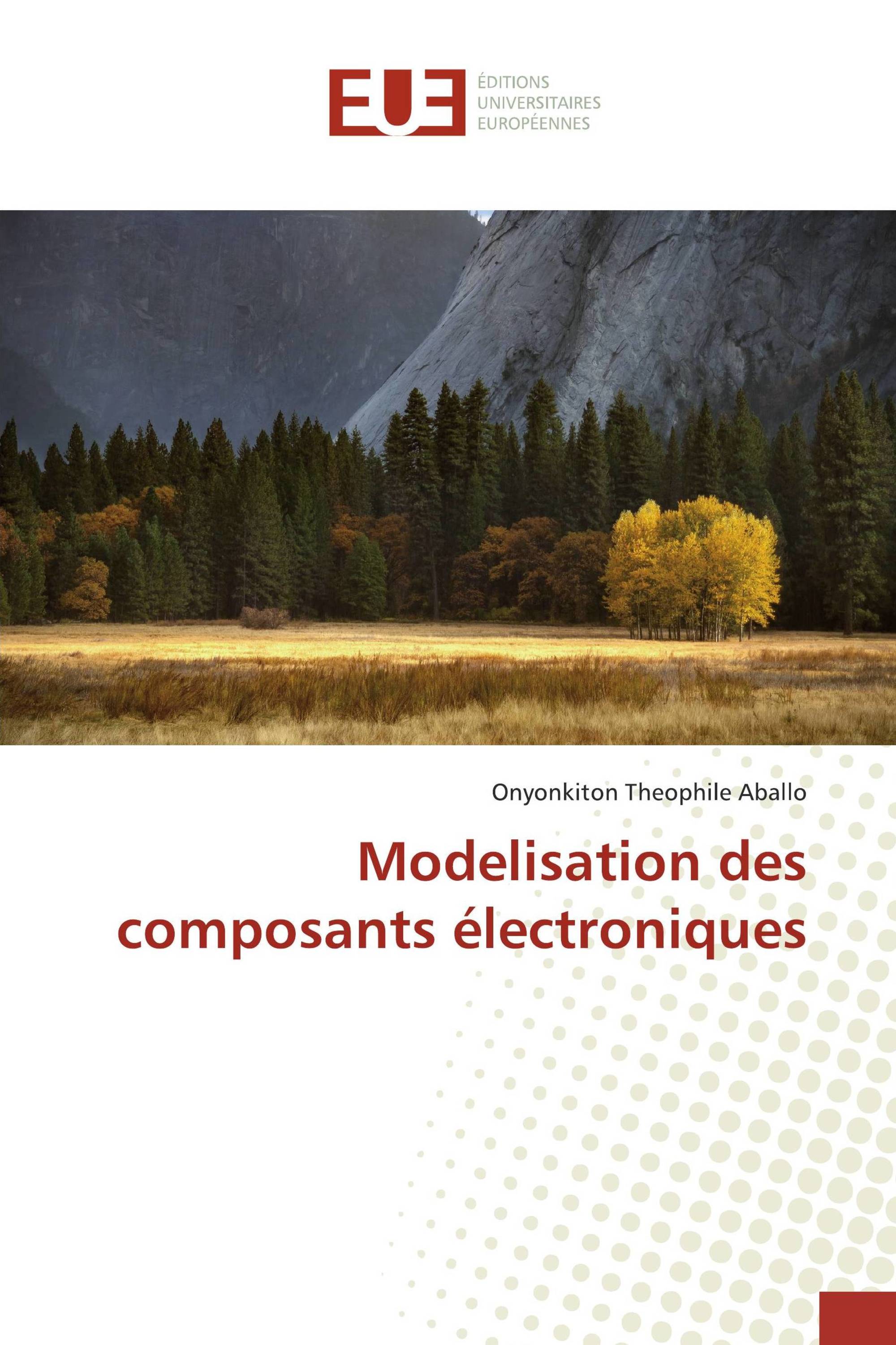 Modelisation des composants électroniques