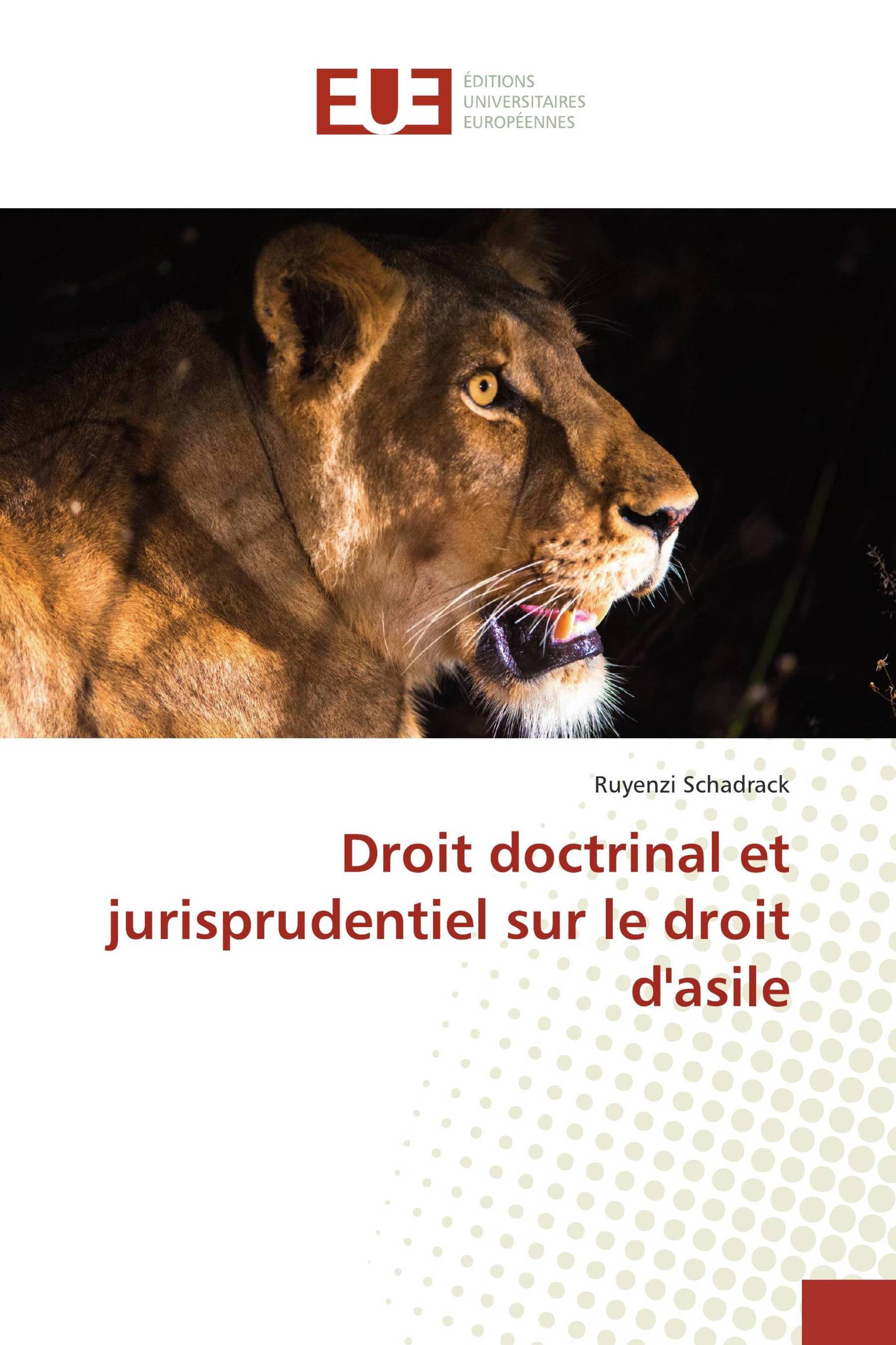 Droit doctrinal et jurisprudentiel sur le droit d'asile