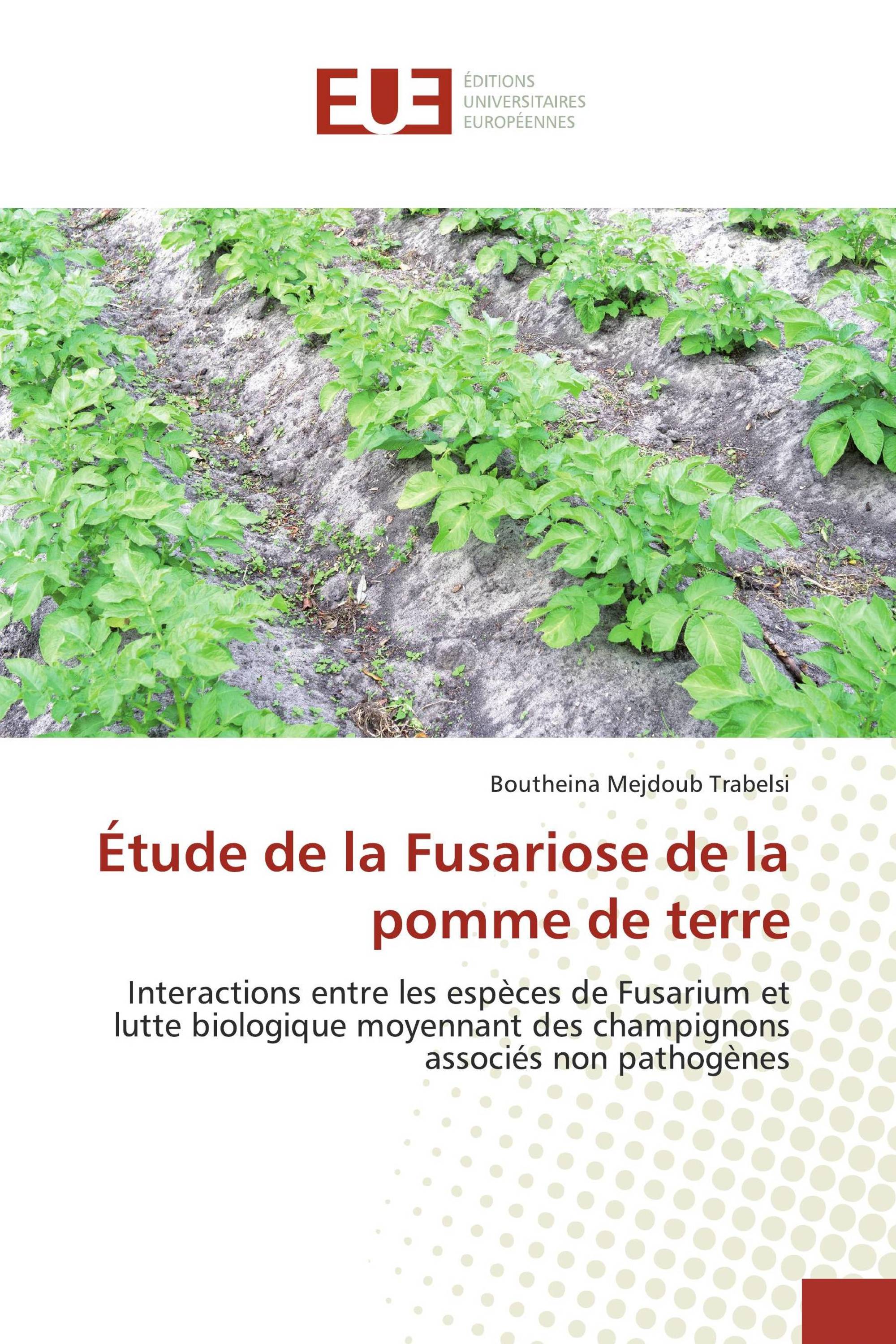 Étude de la Fusariose de la pomme de terre