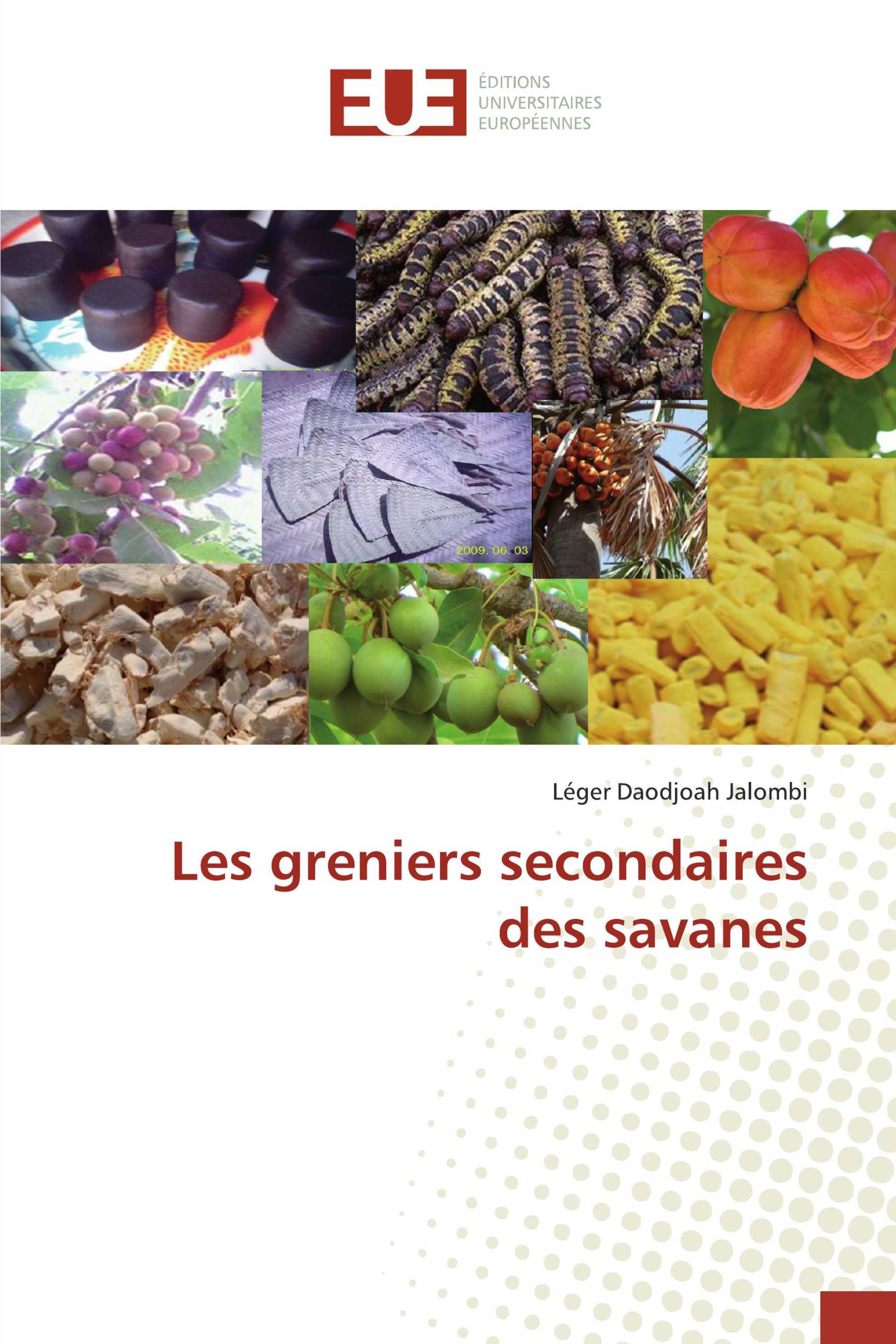 Les greniers secondaires des savanes