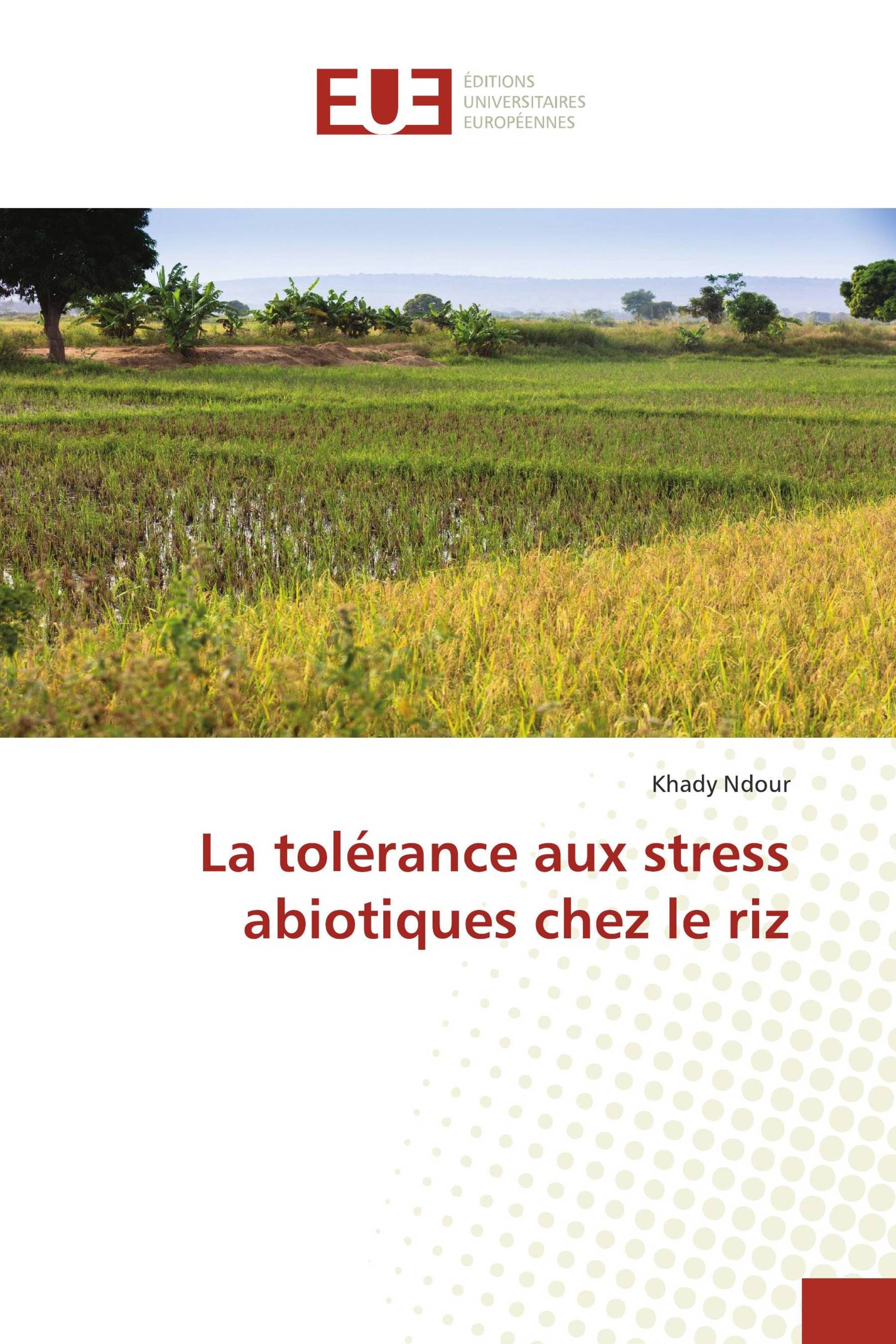 La tolérance aux stress abiotiques chez le riz