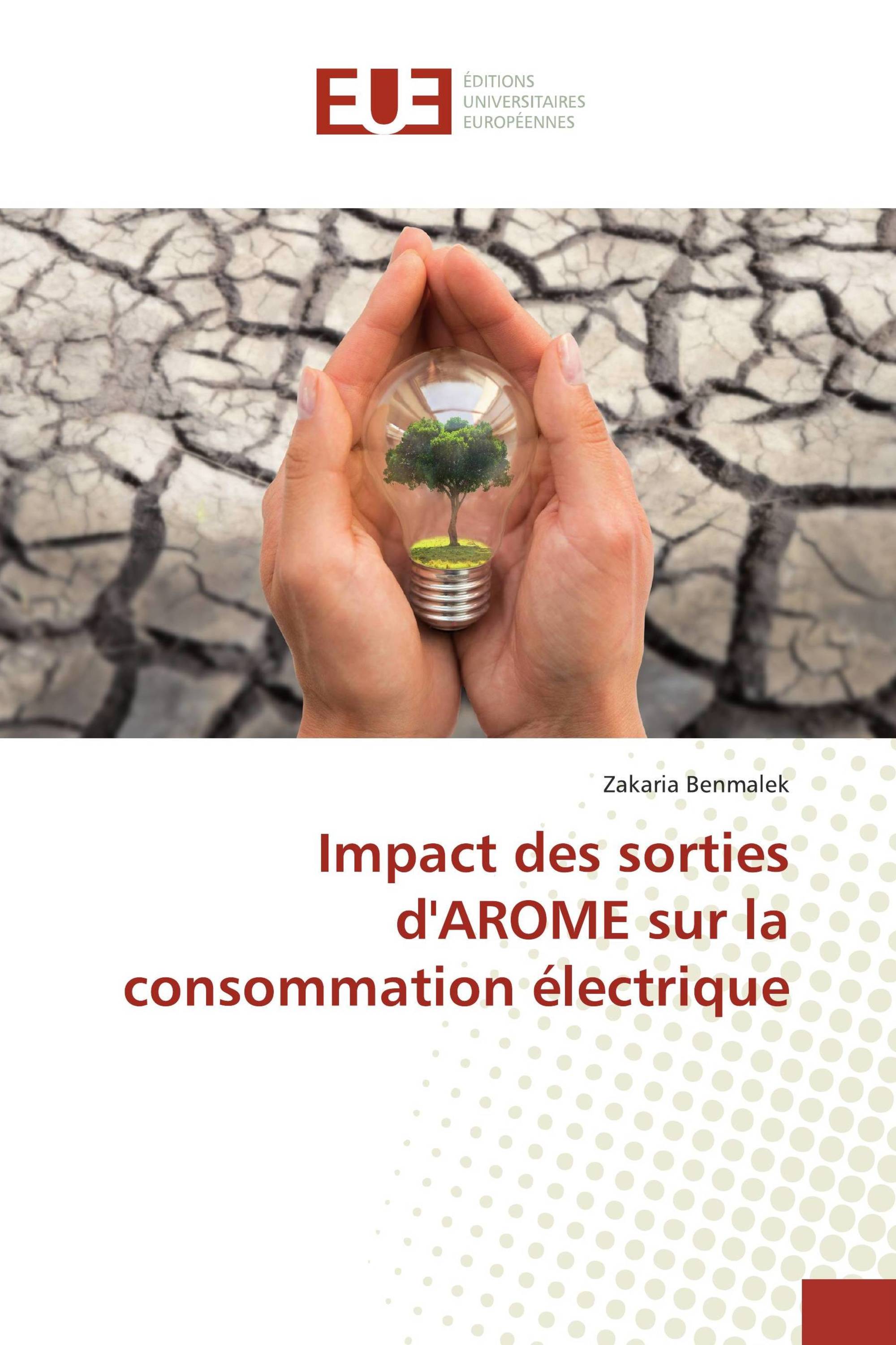 Impact des sorties d'AROME sur la consommation électrique