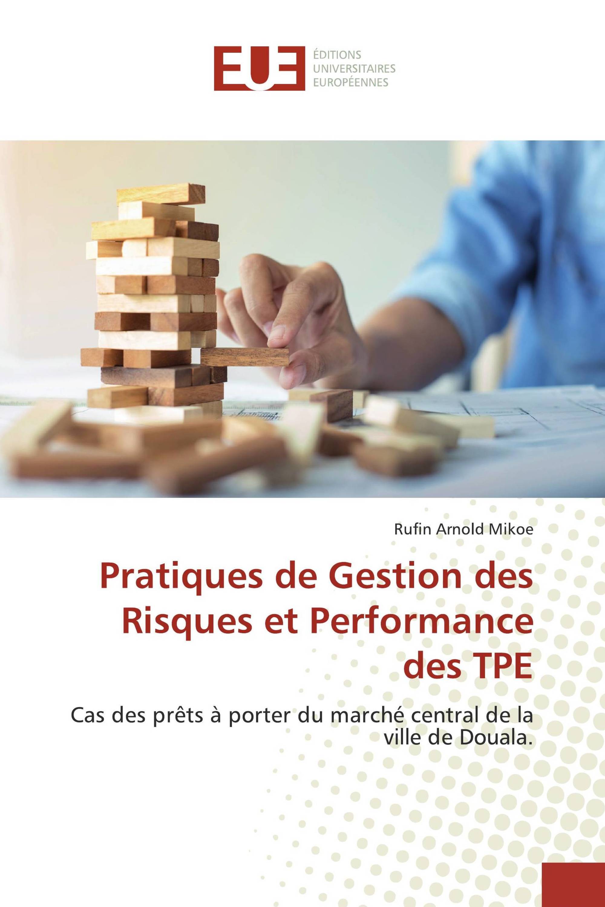 Pratiques de Gestion des Risques et Performance des TPE