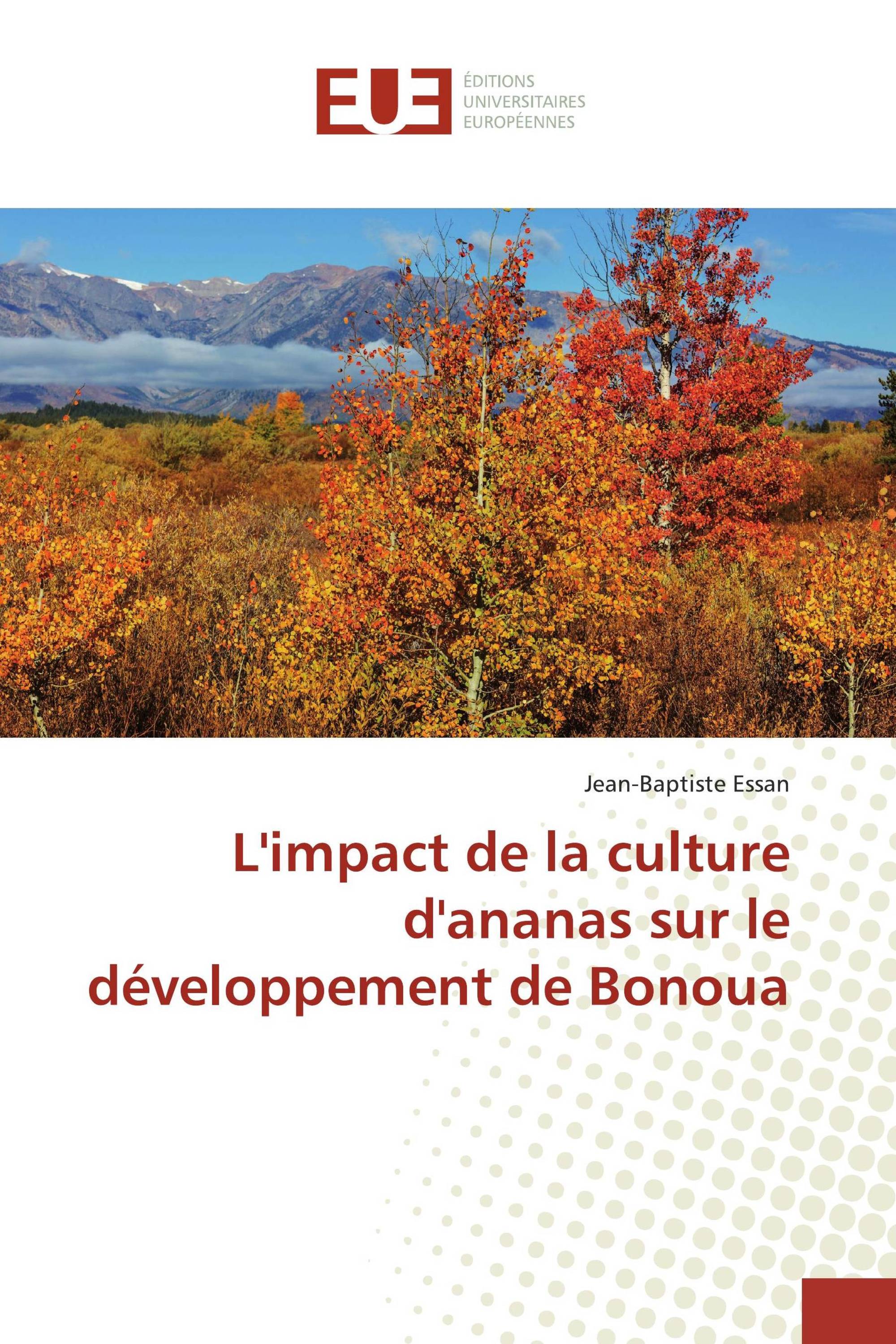 L'impact de la culture d'ananas sur le développement de Bonoua