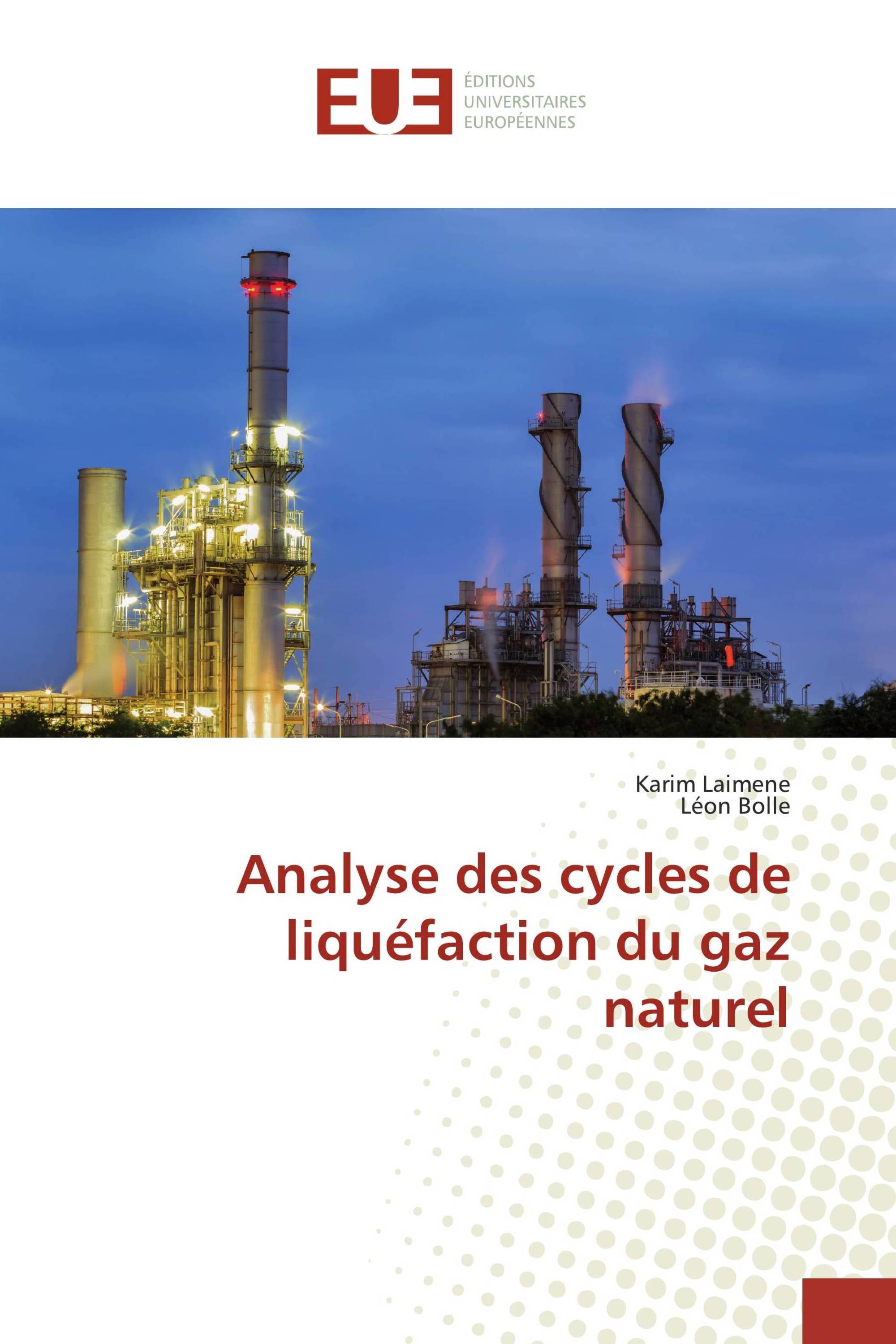 Analyse des cycles de liquéfaction du gaz naturel