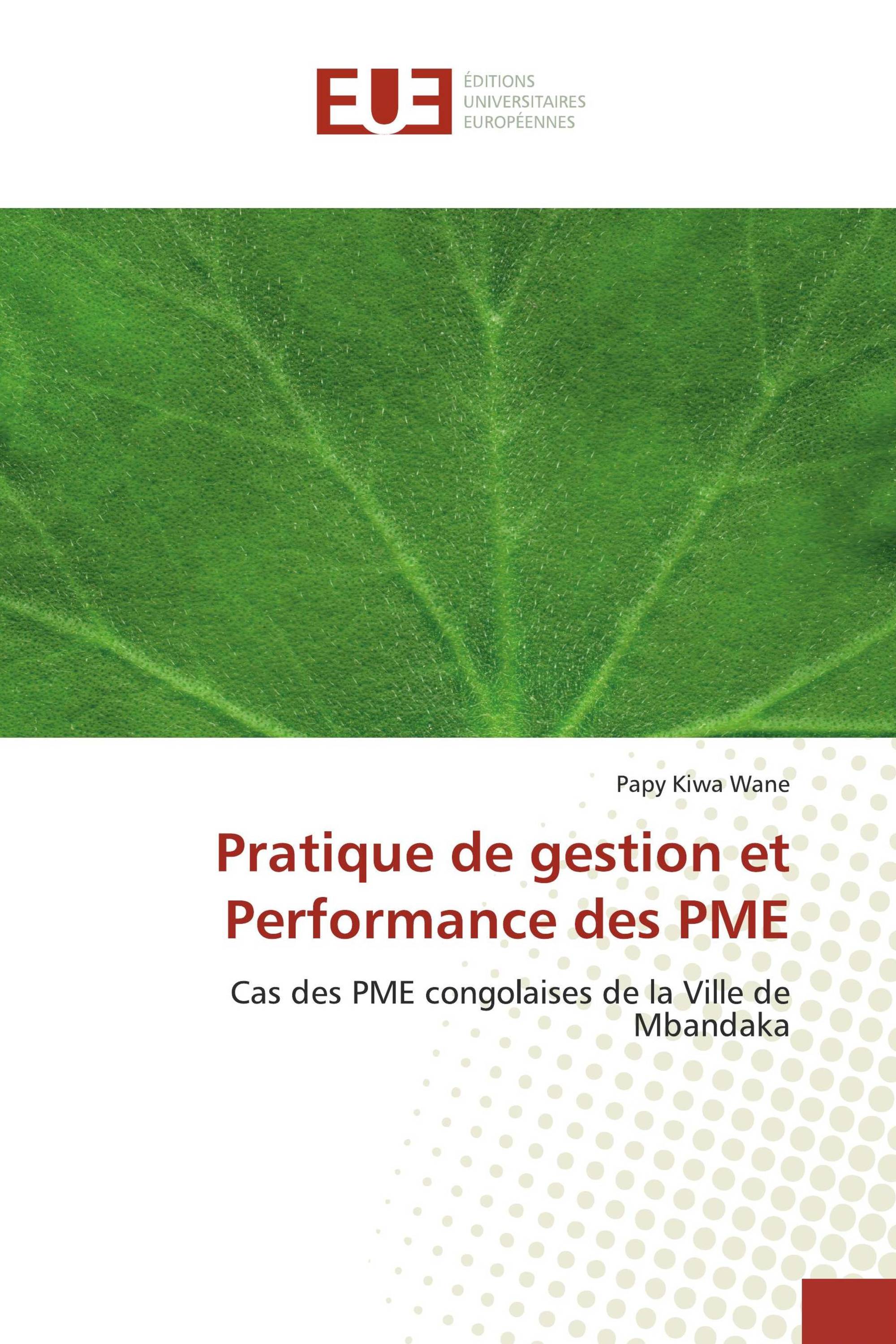 Pratique de gestion et Performance des PME